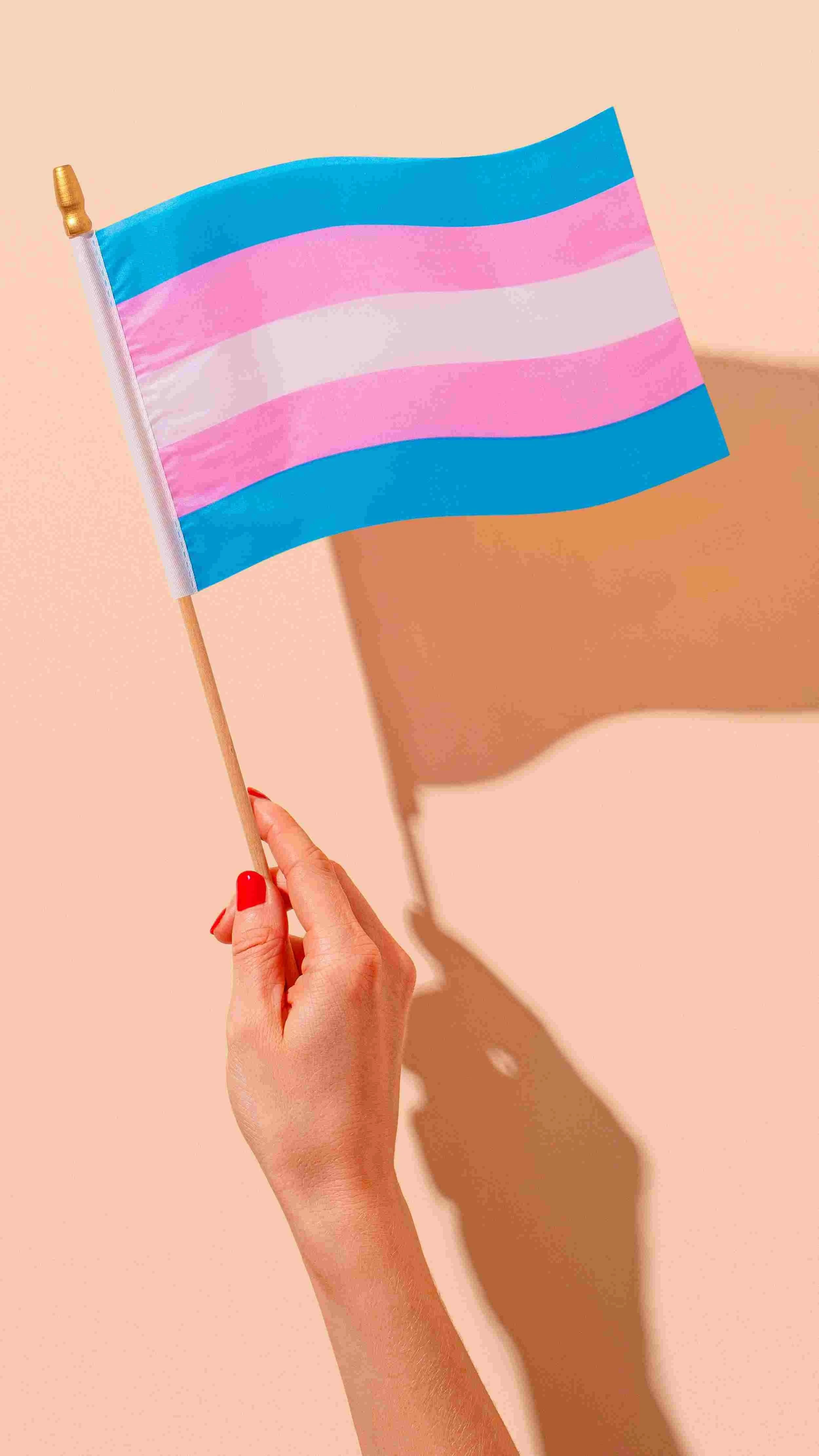 trans friendly flag
