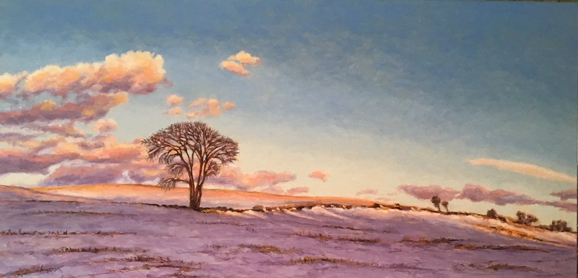 PURPLE MAJESTY | Oil on Canvas | 24" x 48" | $2,450.00 USD | Available