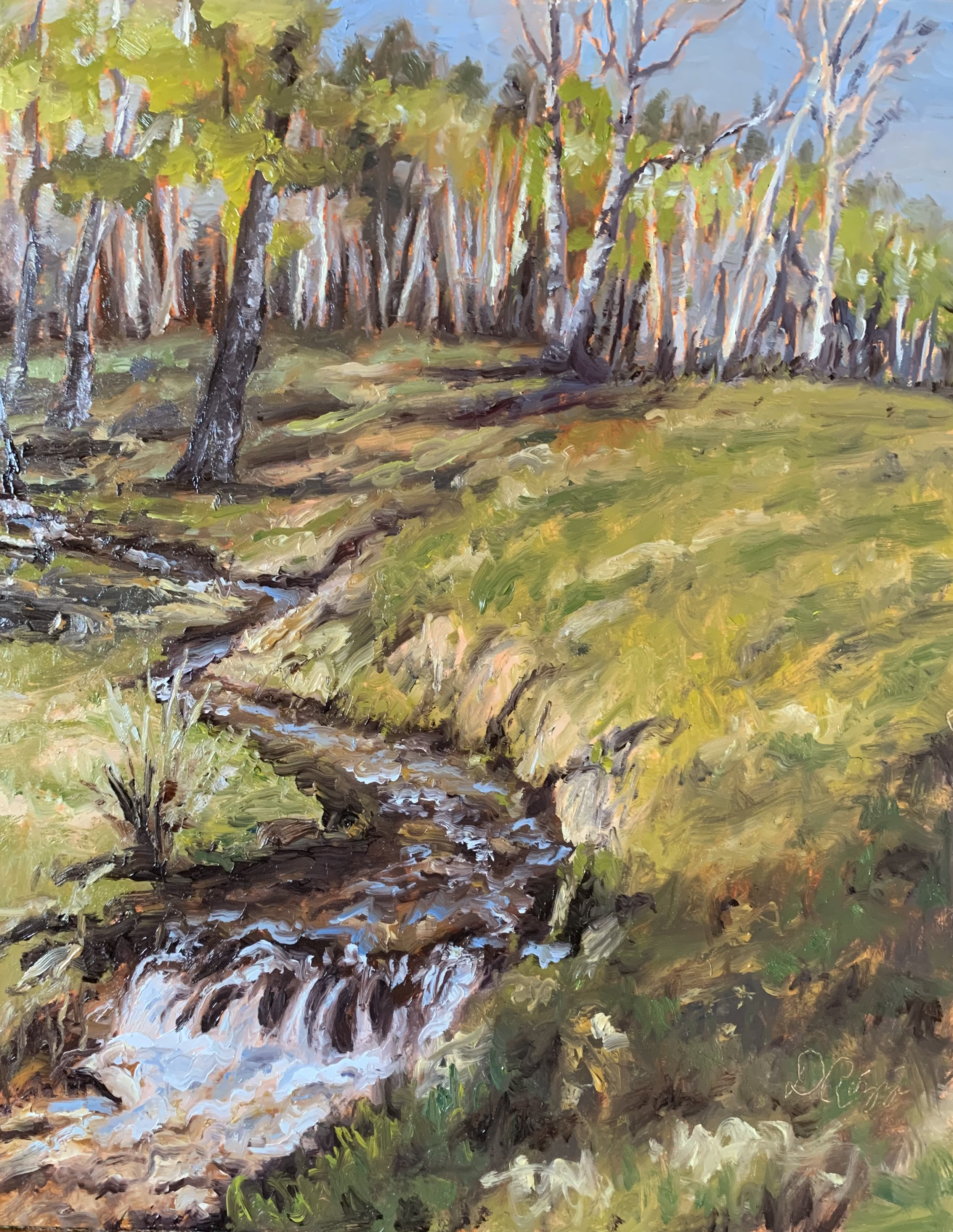 Colorado Stream.png