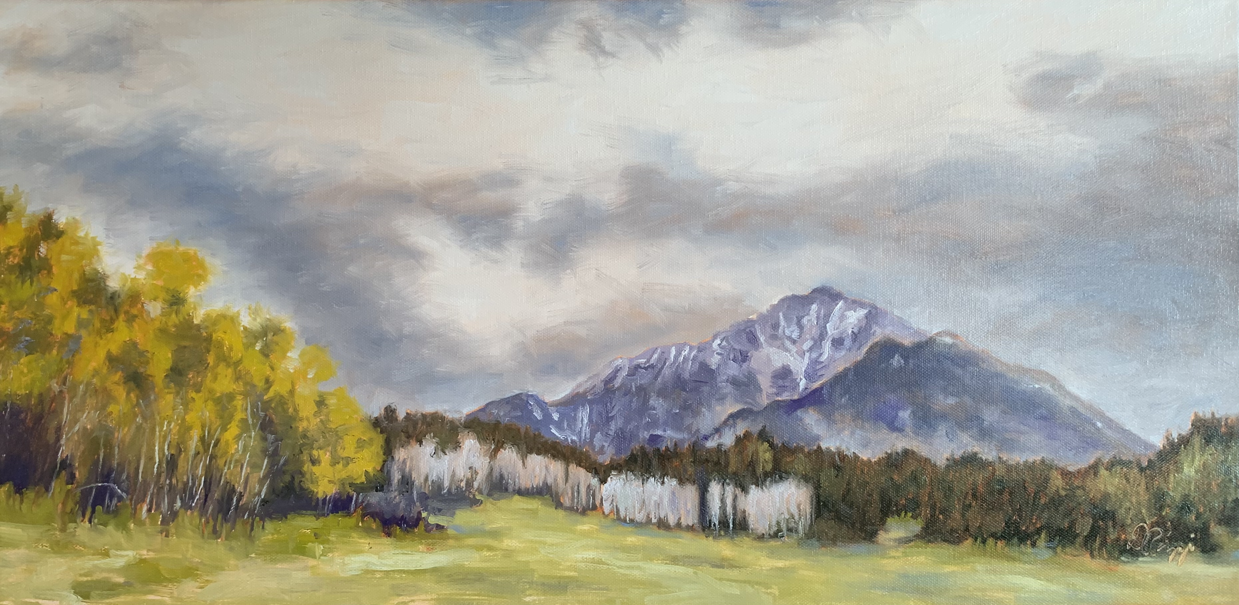 Colorado Mountains.png