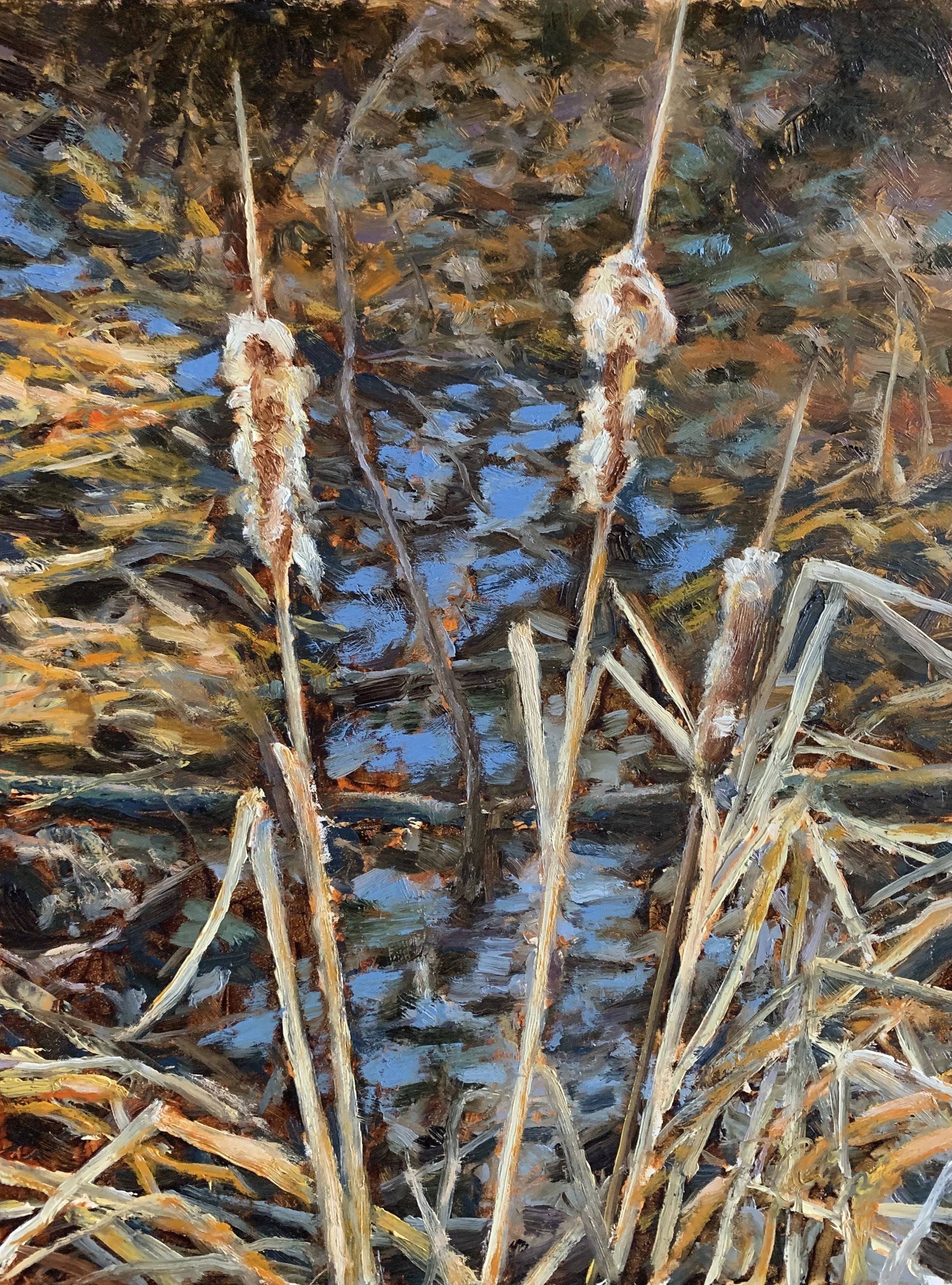 Cattail Blues.jpg
