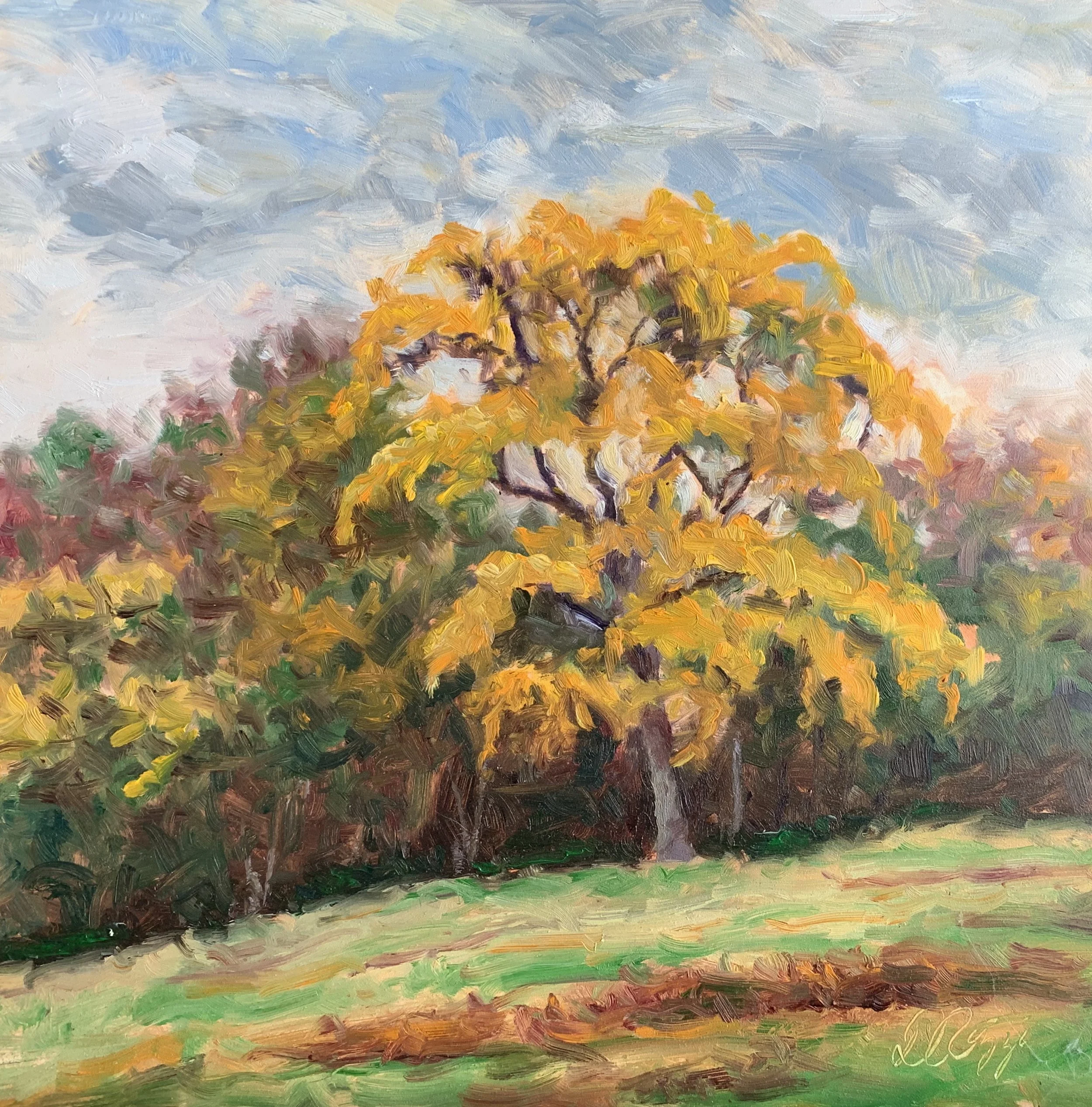 Yellow Splendor.jpg