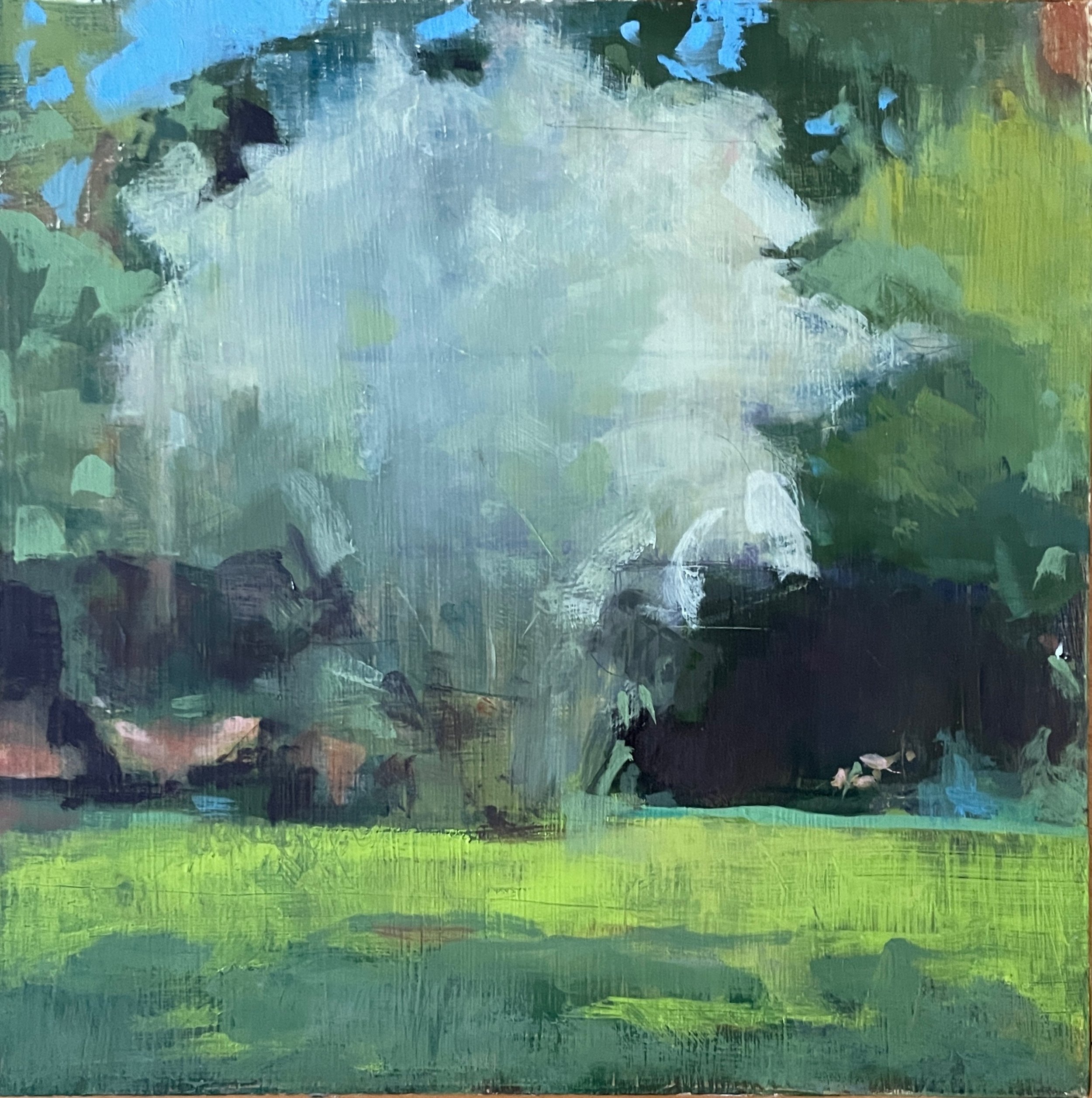  Willow, early summer  oil on board  8” x 8” 