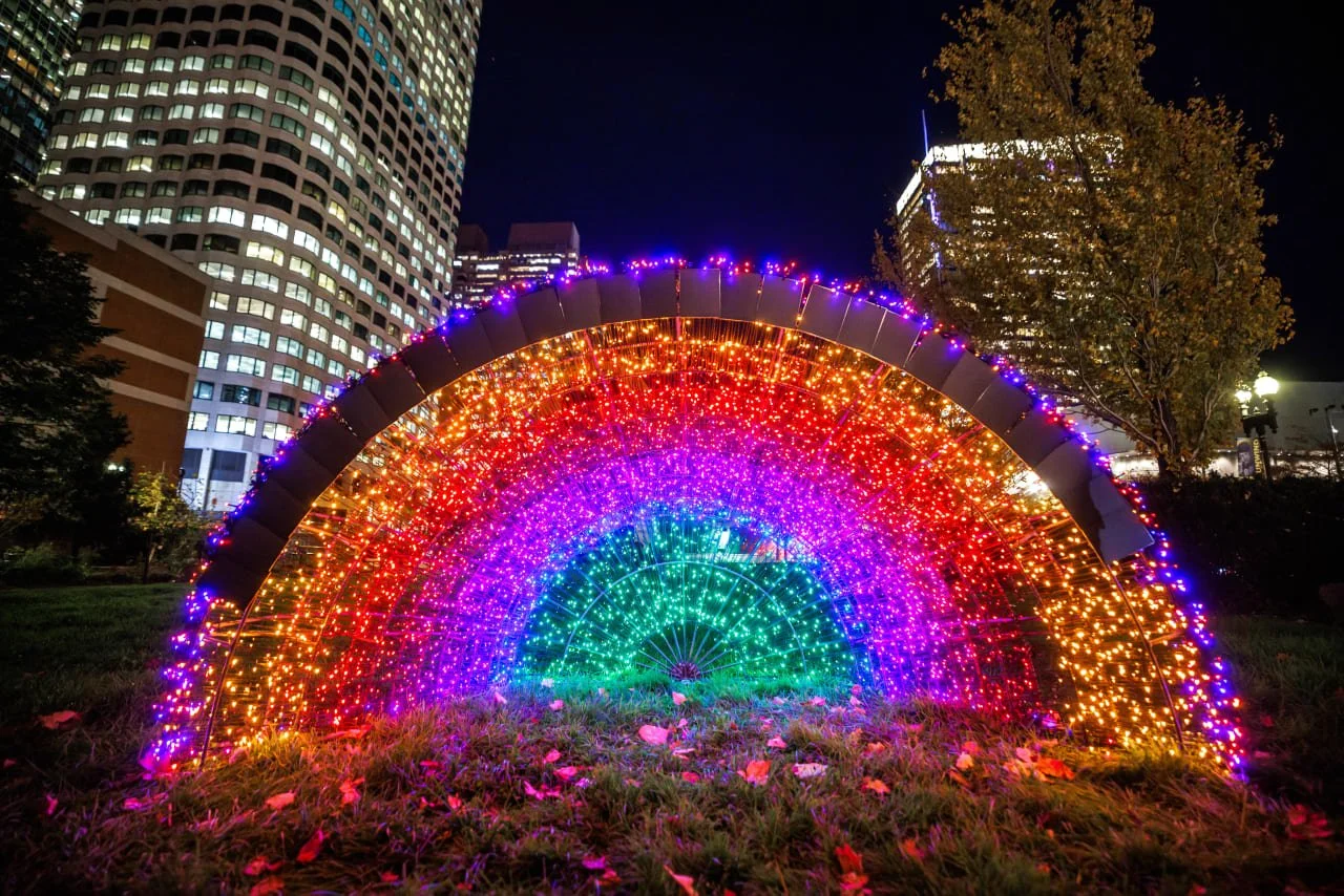 Hatchlings Light Installations