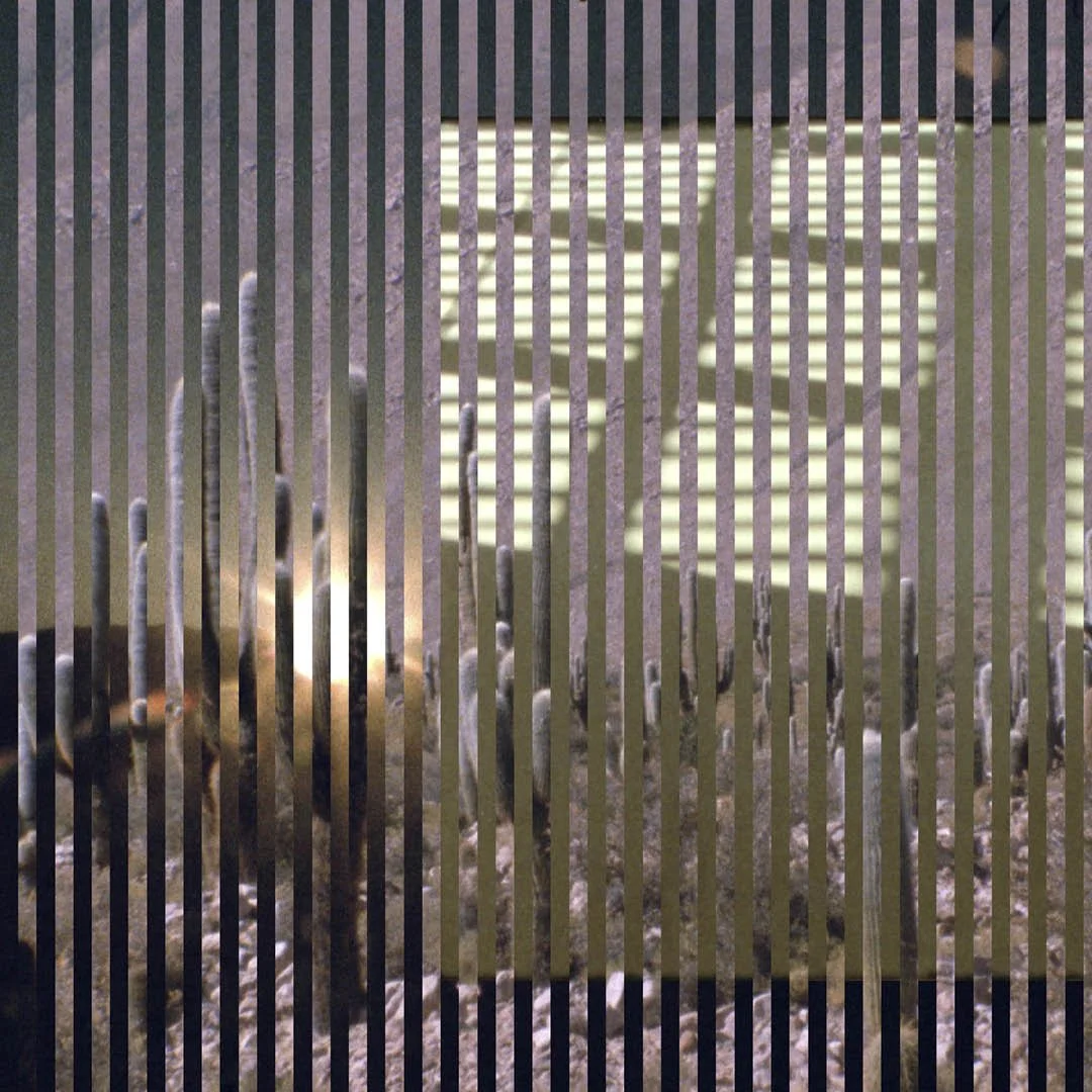 Jimena Sarno's Rhapsody Opening