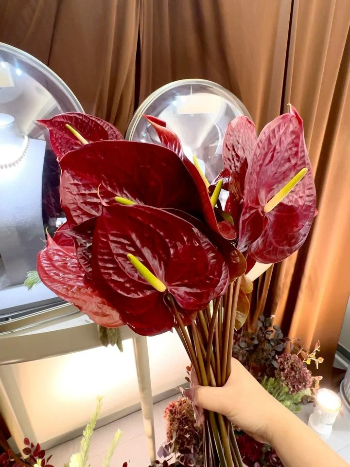 #Anthurium

In the heart of our floral design for Chellery&rsquo;s vintage collection event, the Anthurium stood as a focal point. With its bold, heart-shaped blooms in deep crimson, this exotic flower speaks of passion and enduring elegance. Its glo