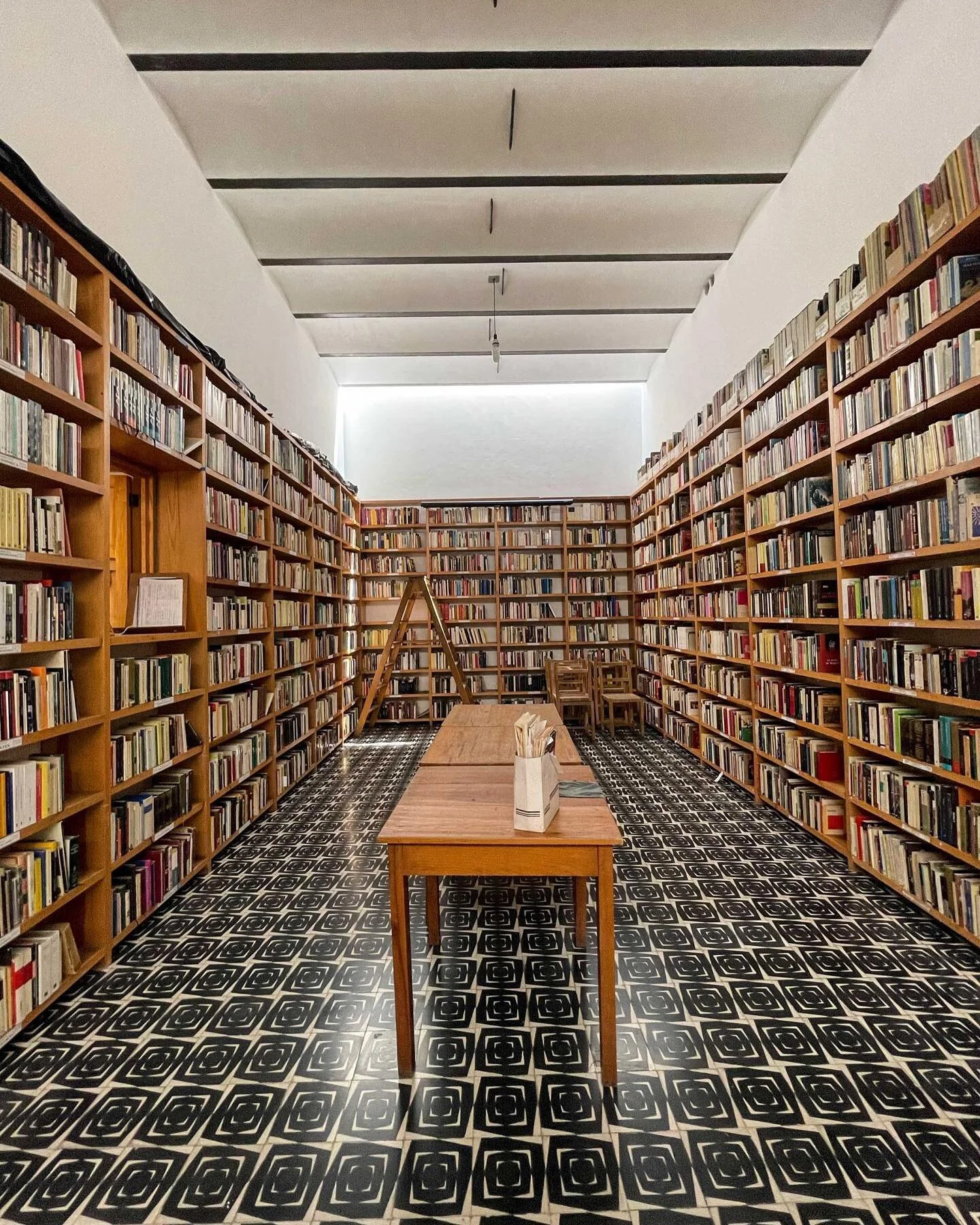 📚Immerse yourself in the captivating world of graphic arts in Oaxaca: 
📝The Graphic Arts Institute of Oaxaca is a school of art located in the city of Oaxaca, Mexico. founded by artist Francisco Toledo. 
📖The Institute also serves as a cultural