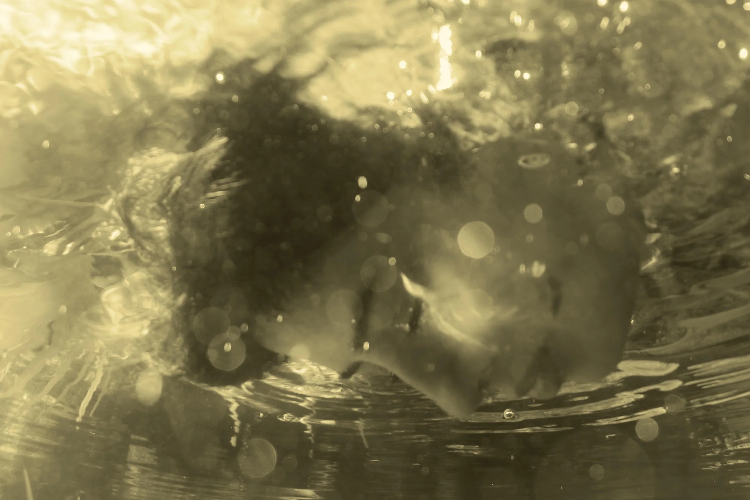 Sueños líquidos II