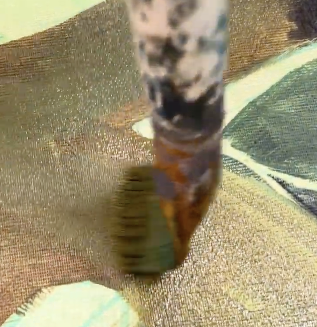 Captura de pantalla 2026-03-20 a la(s) 1.57.54 p.m..png