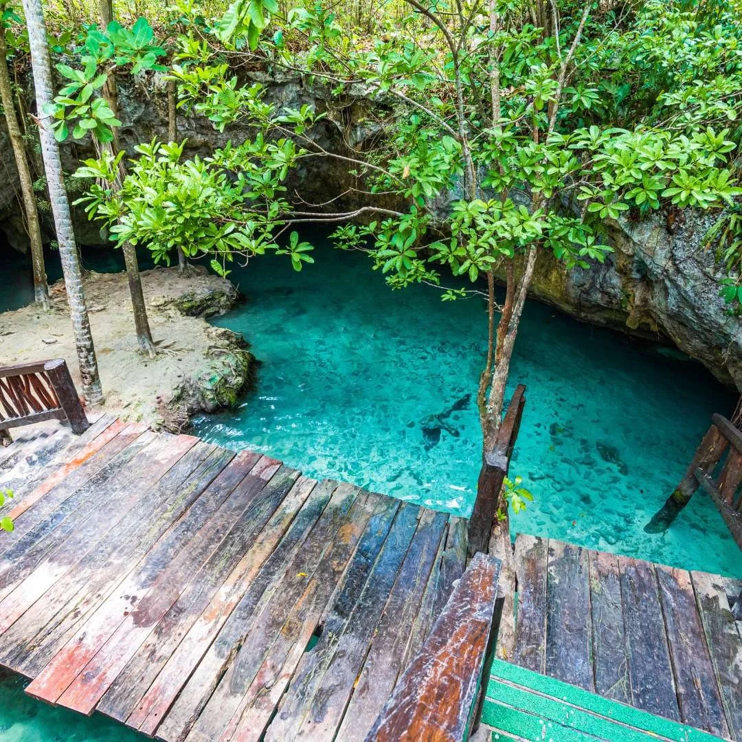 Wooden deck overlooking a clear, blue tidal pool surrounded by lush green foliage and rocks.
