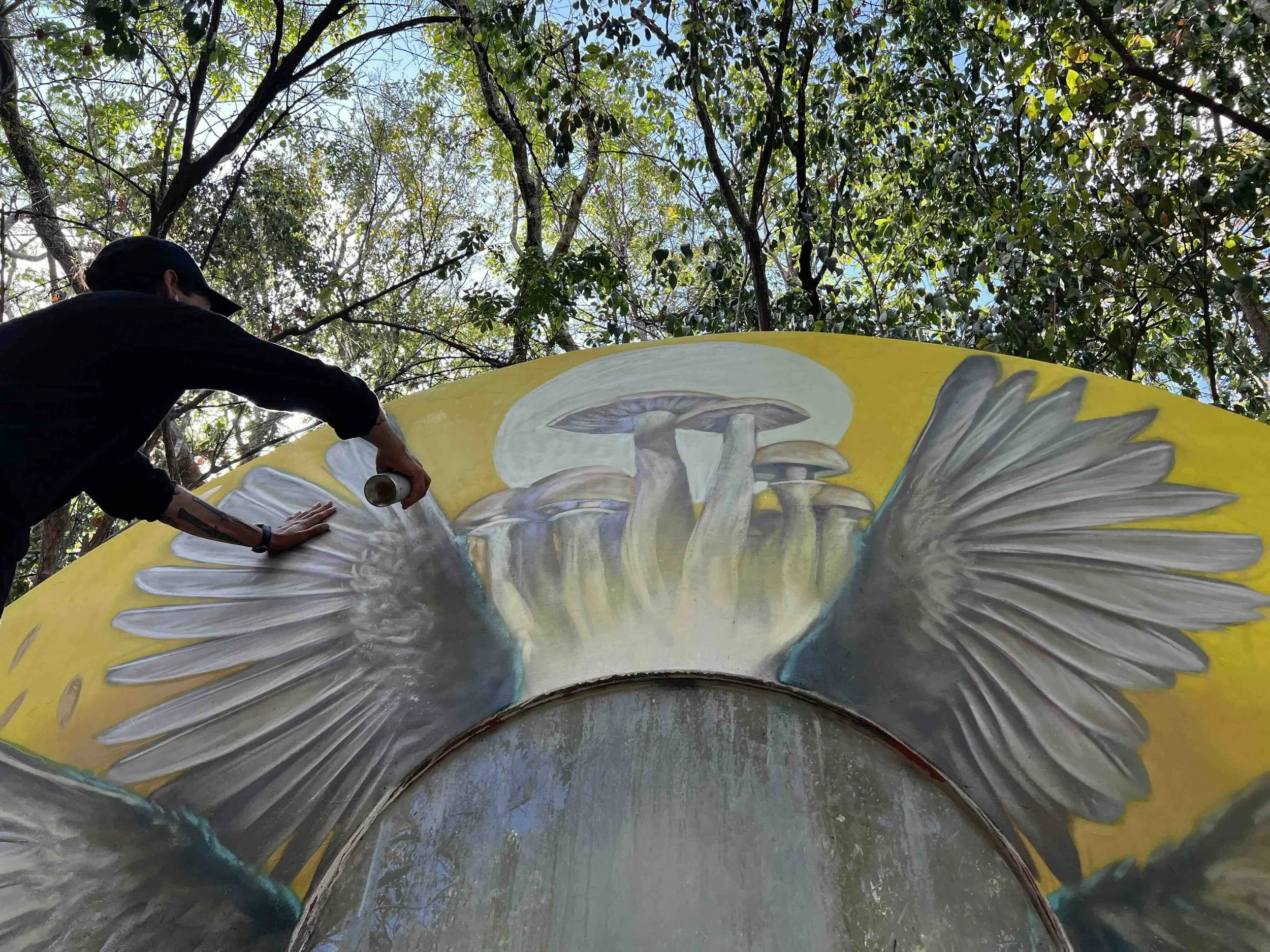 IMG_7941 12.19.27 p.m..jpeg