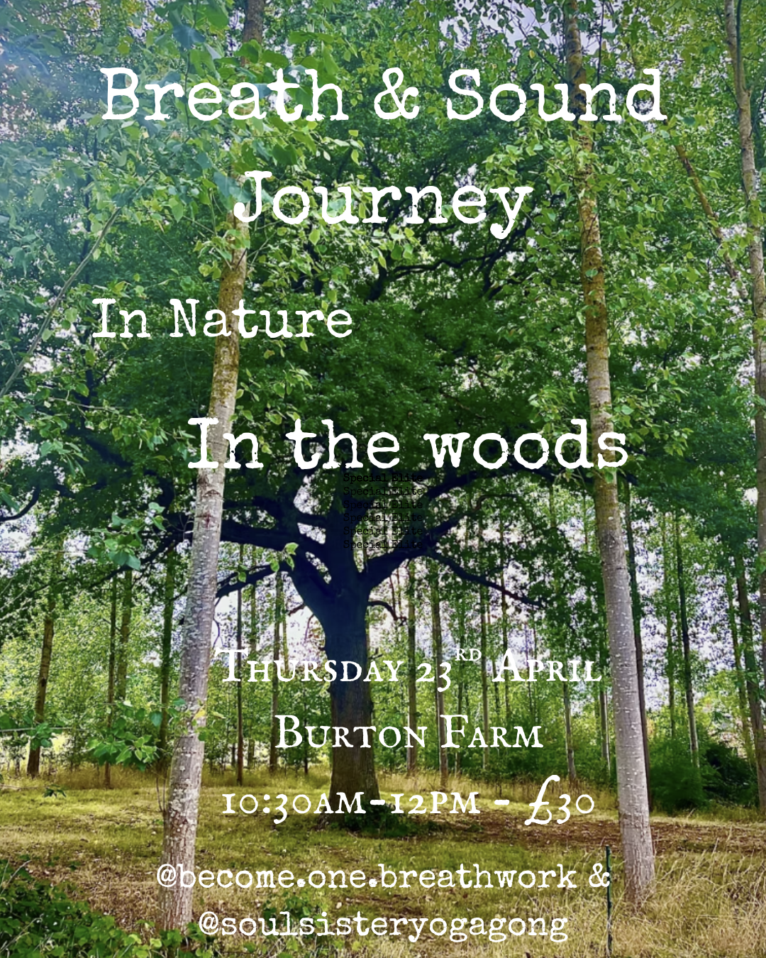 Breath & Sound Journey