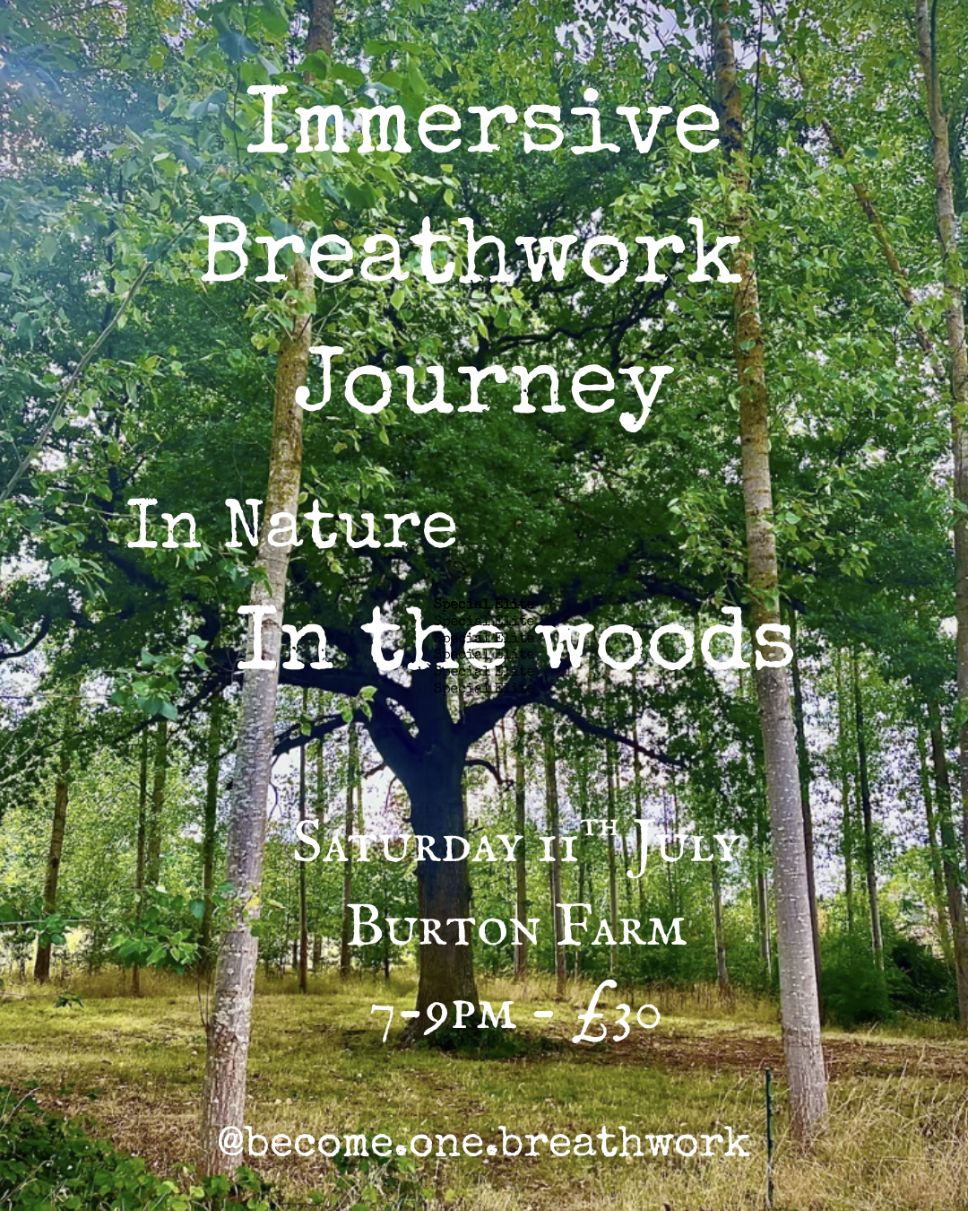 Immersive Breathwork Journey in Nature