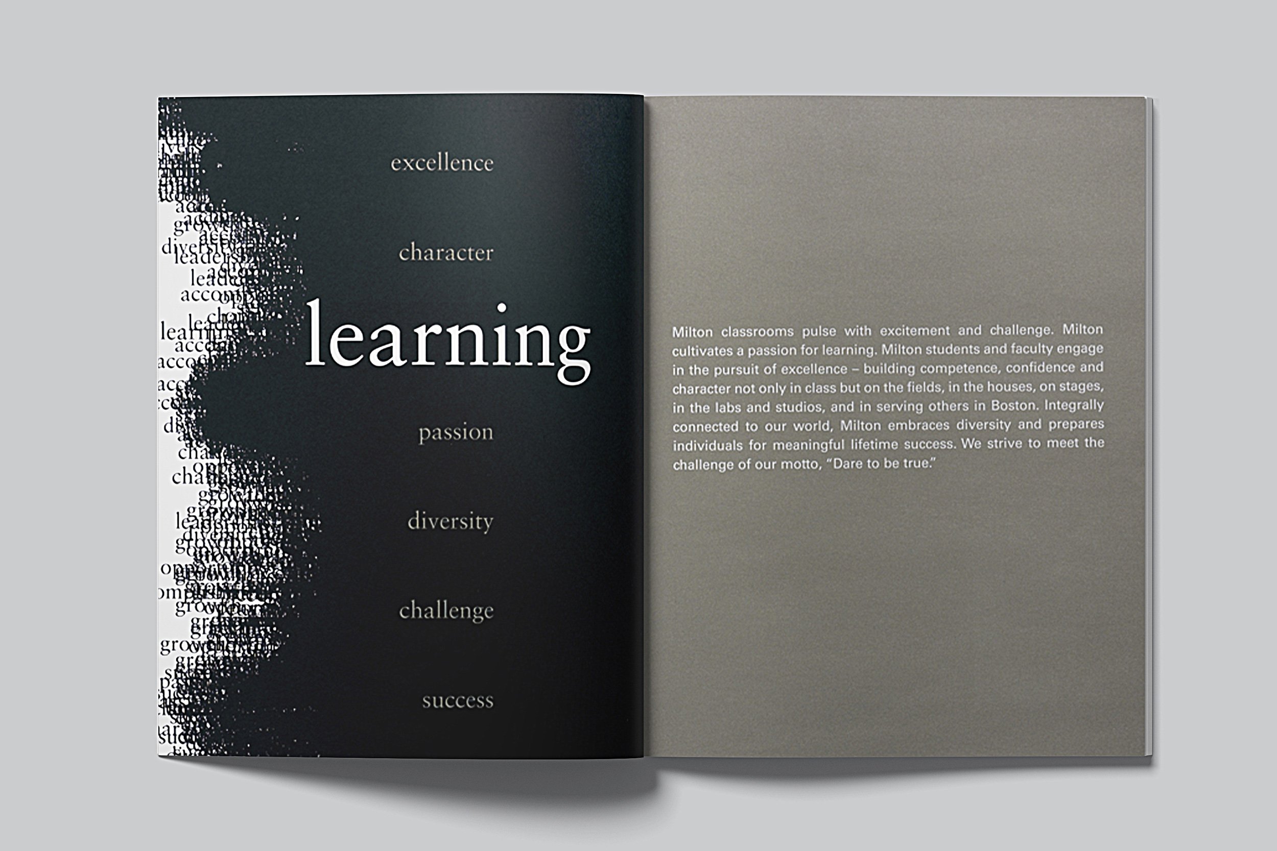From the sea of positive words used to describe Milton's students and faculty, six rise to the surface as the result of a culture of lifetime learning.