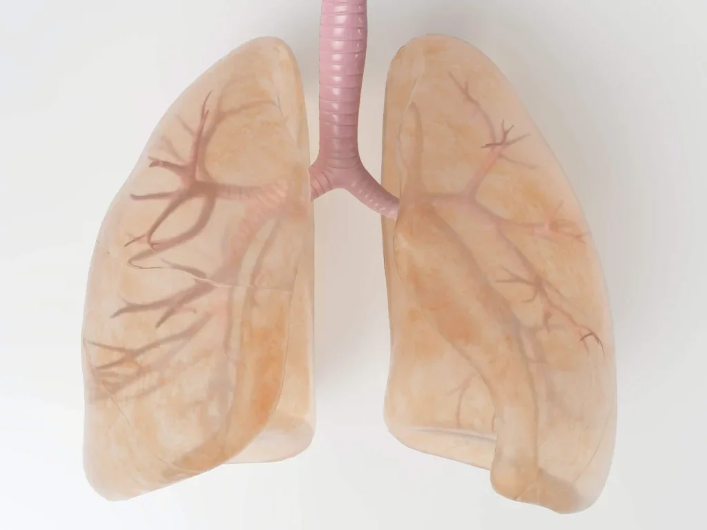 wat is ‘bewust verbonden ademen’?