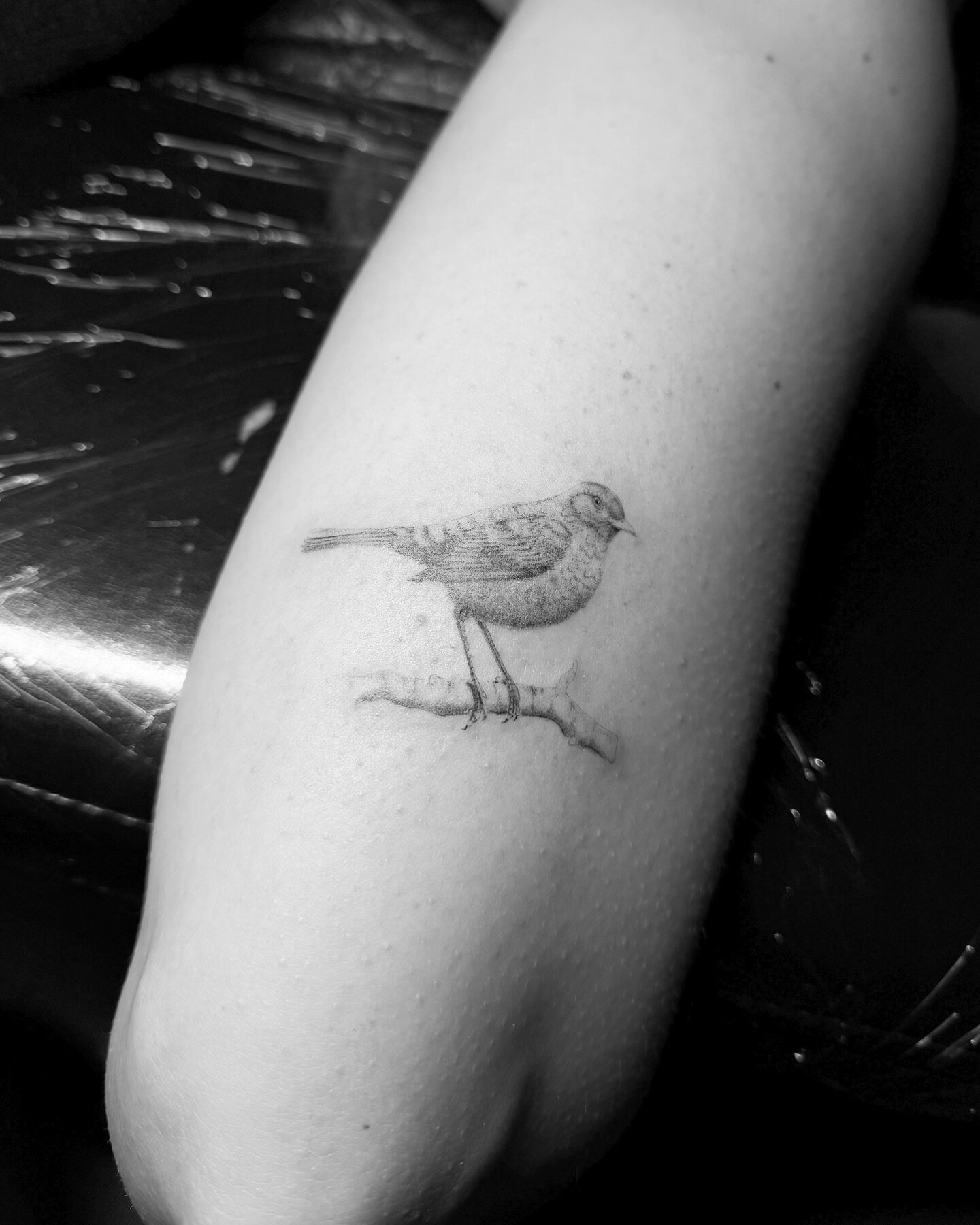 Een vogeltje om nooit te vergeten. Rust zacht Merel! // ✨ // 
&bull;
&bull;
&bull;
&bull;
&bull;
&bull;
&bull;
&bull;
&bull;
&bull;
&bull;
&bull;
&bull;
&bull;
&bull;
#tinytattoos #finelinetattoo #delicatetattoo #dotwork #simpletattoos #floral #minim
