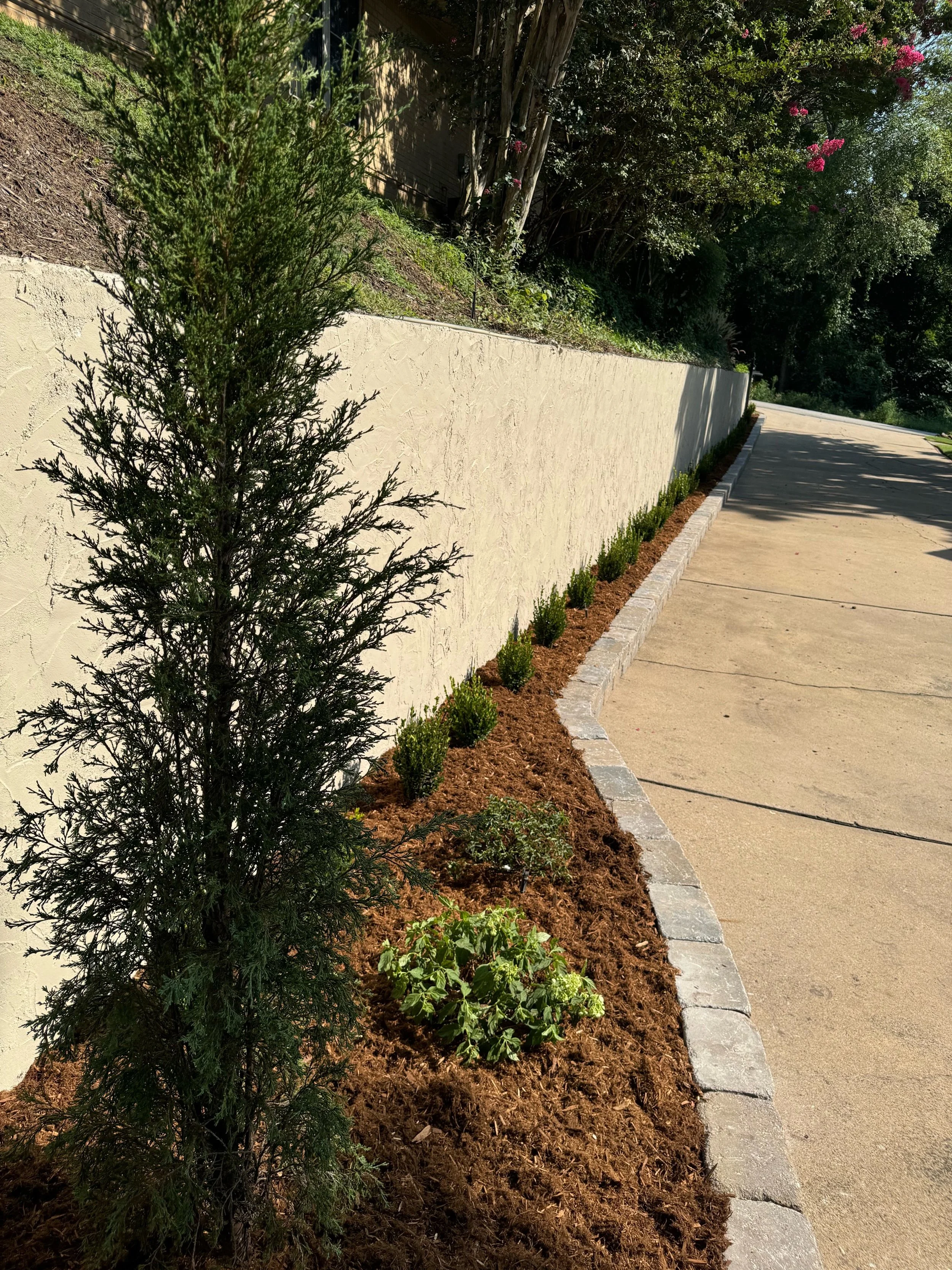 Garden retaining wall with shrubs