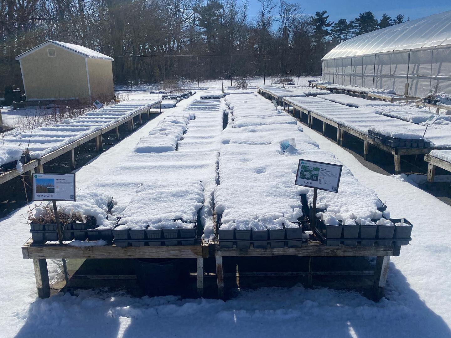 The snow put a nice blanket over the plants to complete a seasonal cycle.