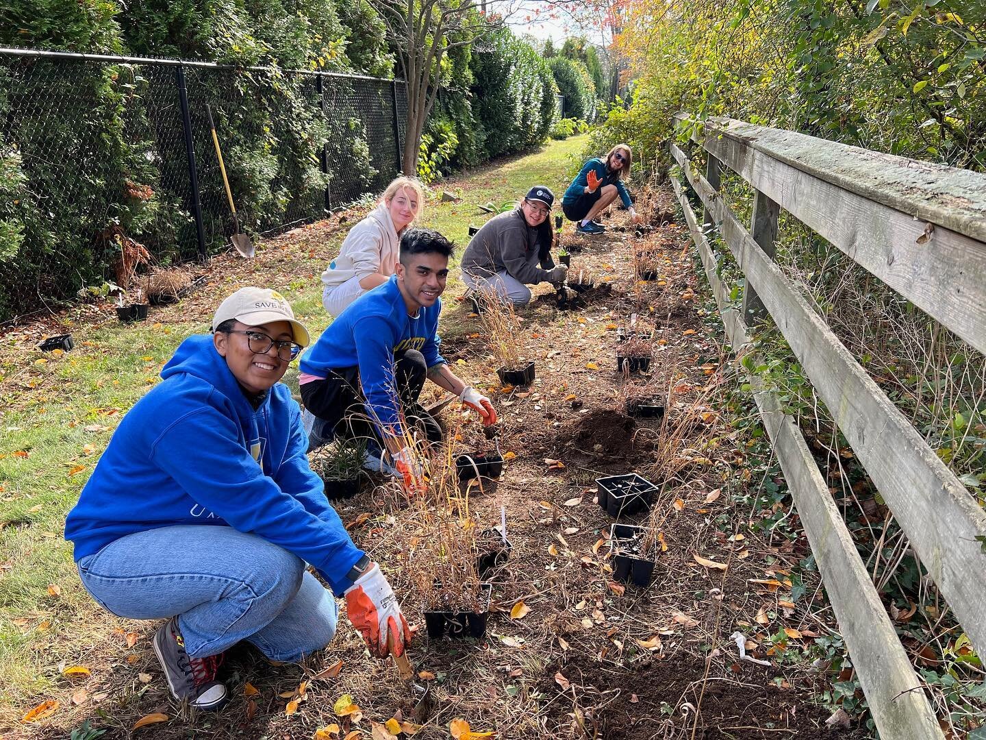 Dr. J Bret Bennington, of the Department of Geology, Environment, and Sustainability from Hofstra University, planted LINPI&rsquo;s ecotype plants to expand Hofstra&rsquo;s Bird Sanctuary.  The professor and his students also came to volunteer cleani