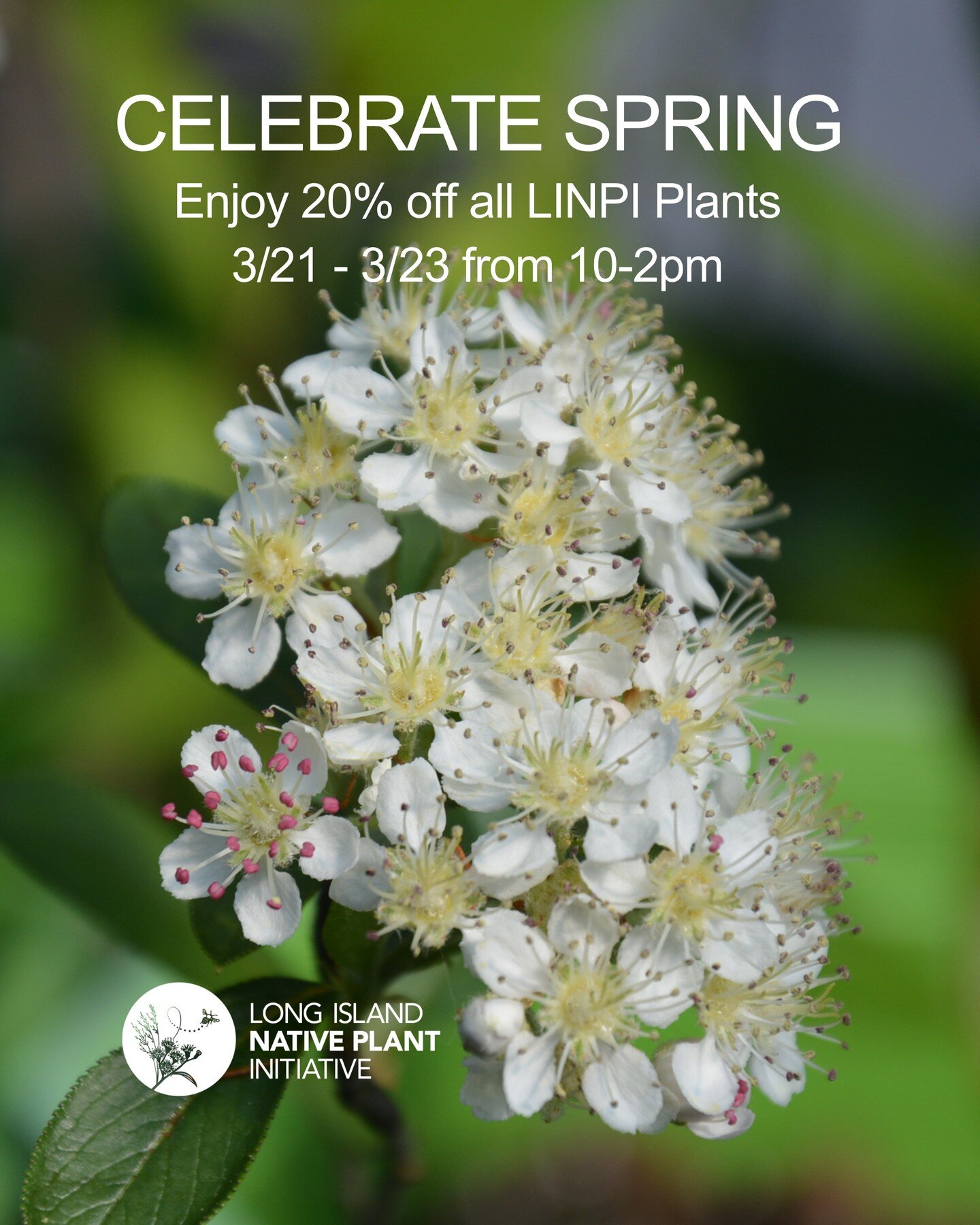 Celebrate Spring and enjoy 20% off all of our wildflowers, woodies and grasses from March 21st through March 23rd! 

Check out what is in stock and ready for your garden here: https://www.linpi.org/plant-sales