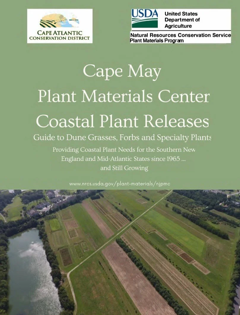 Celebrating 60 years of conservation leadership, the Cape May Plant Materials Center has been advancing coastal plant science and supporting communities across the Mid-Atlantic since 1965. Specializing in dune grasses, forbs, and specialty plants, th
