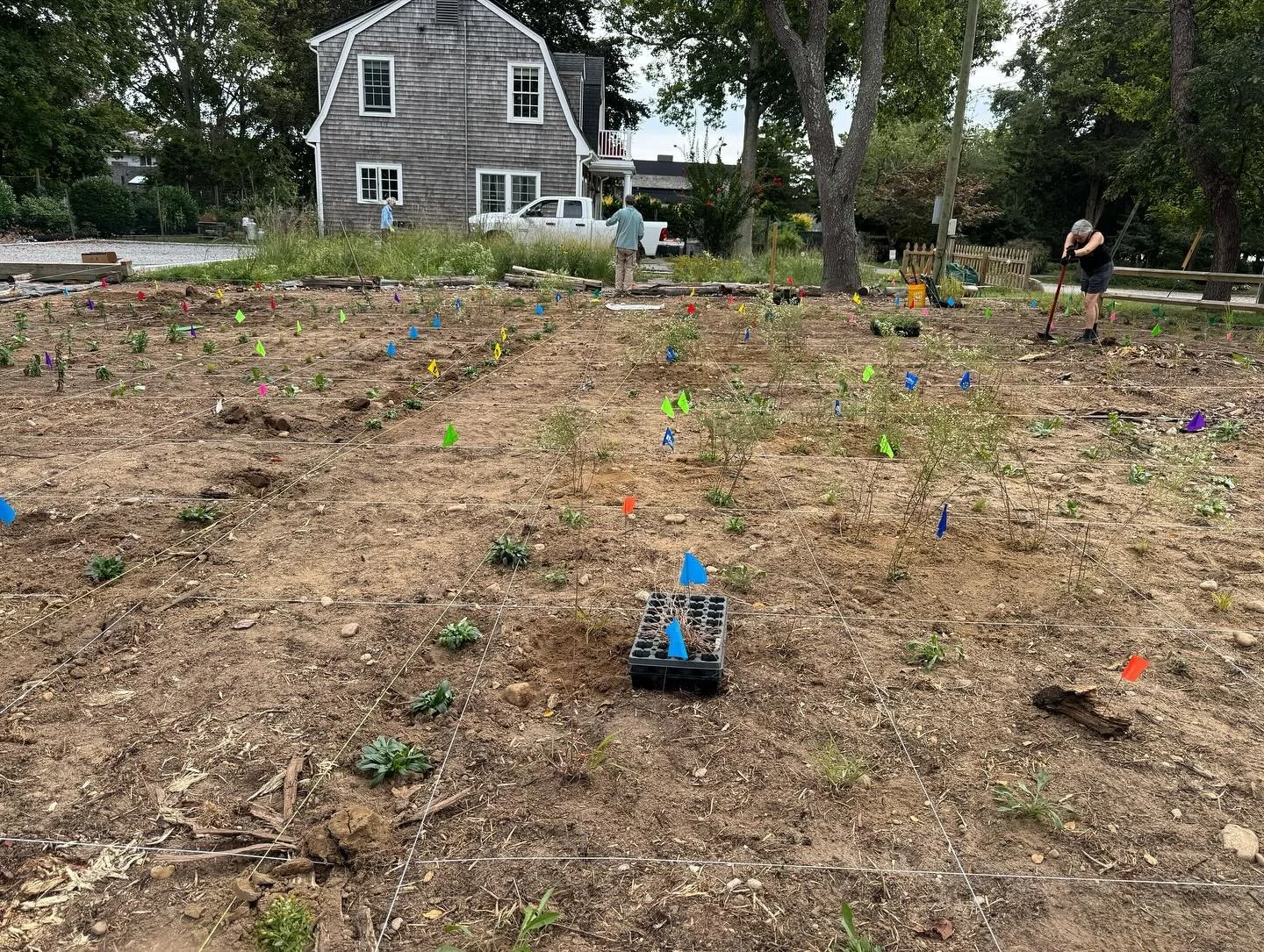 Phase 2 at Pheasant Circle, Shelter Island, at Peter and Leslie&rsquo;s. Colleen, board member and secretary, took the lead on designing a once mugwort covered area, to an ecotypic native garden. Phase 3 and 4 will be planned next, Phase 1 was last F