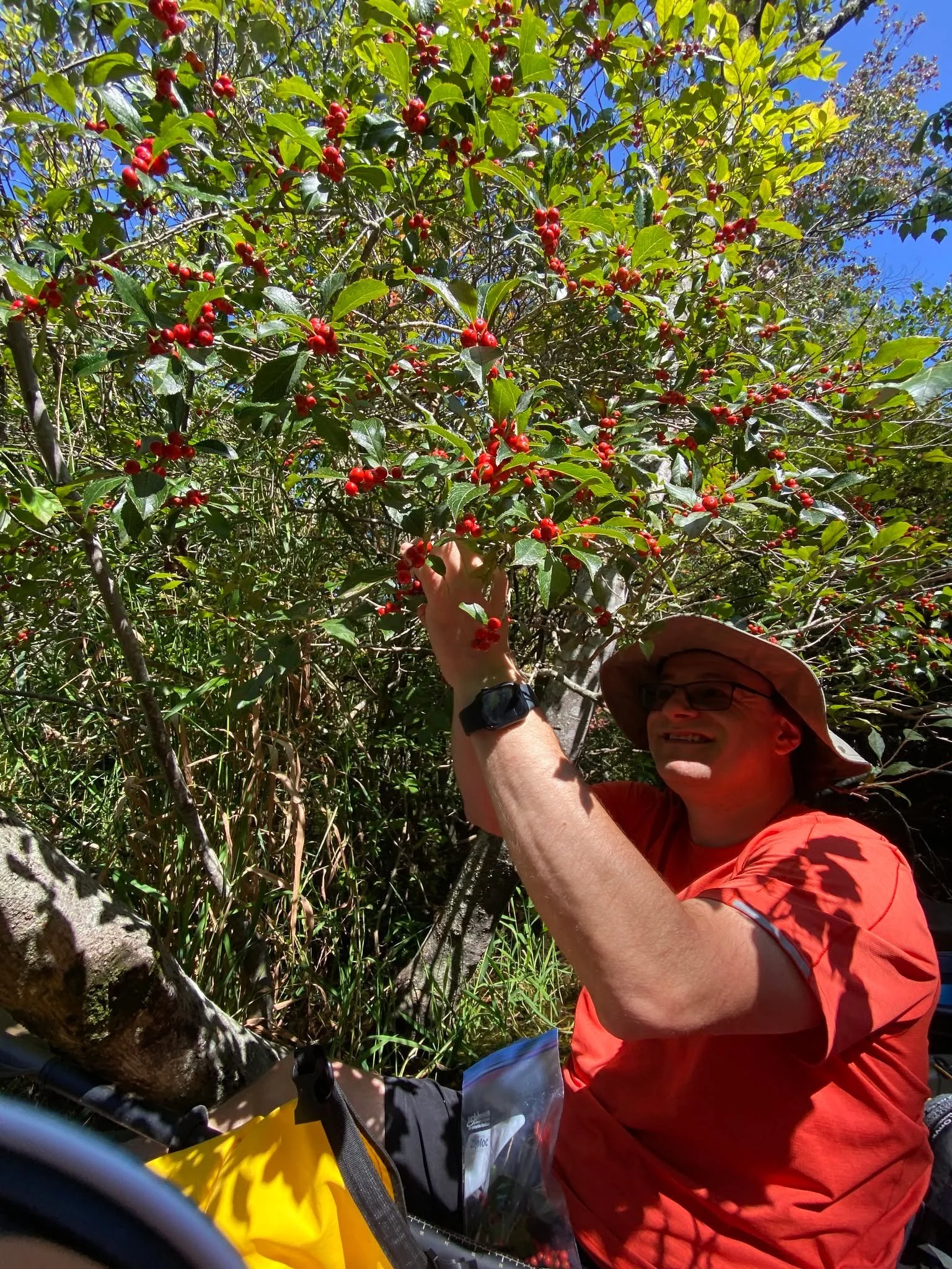 This Giving Tuesday, Help Long Island Grow Native

On this Giving Tuesday, we invite you to join the Long Island Native Plant Initiative (LINPI) in protecting and restoring the natural heritage of our region. Every day, our team works to conserve gen