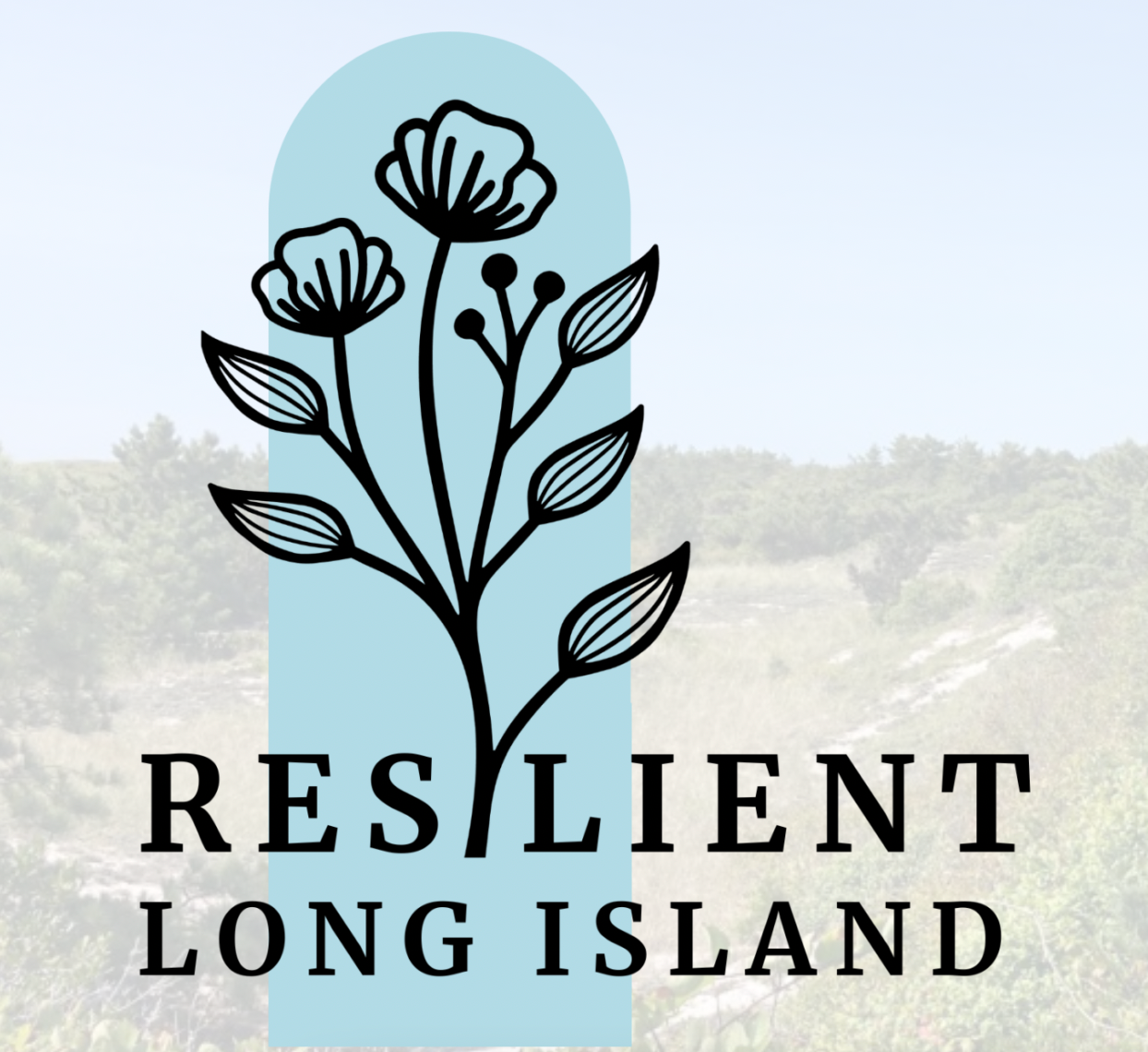 Resilient LI Symposium