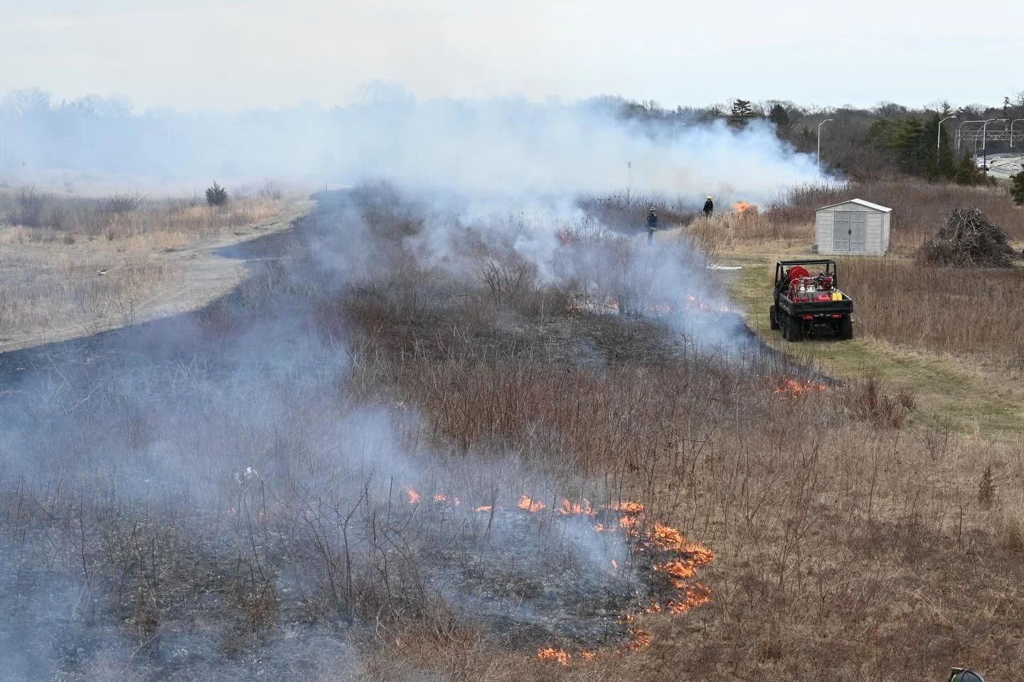 Thursday, March 19, before the Poster session, I was able to go to @hempsteadplains and observe their third annual prescribed burn. Views from the green rooftop and ground level helped us watch safely. The fire burned quickly through the top layer of
