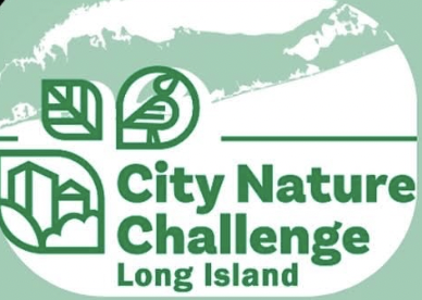 City Nature Challenge 2026