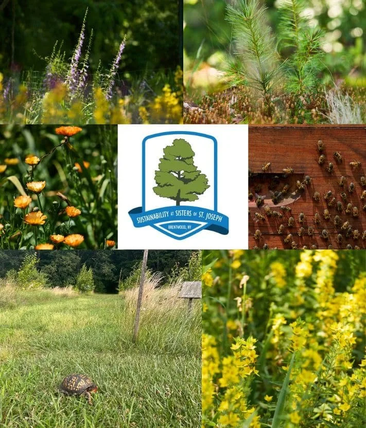 First Annual CSJ BioBlitz