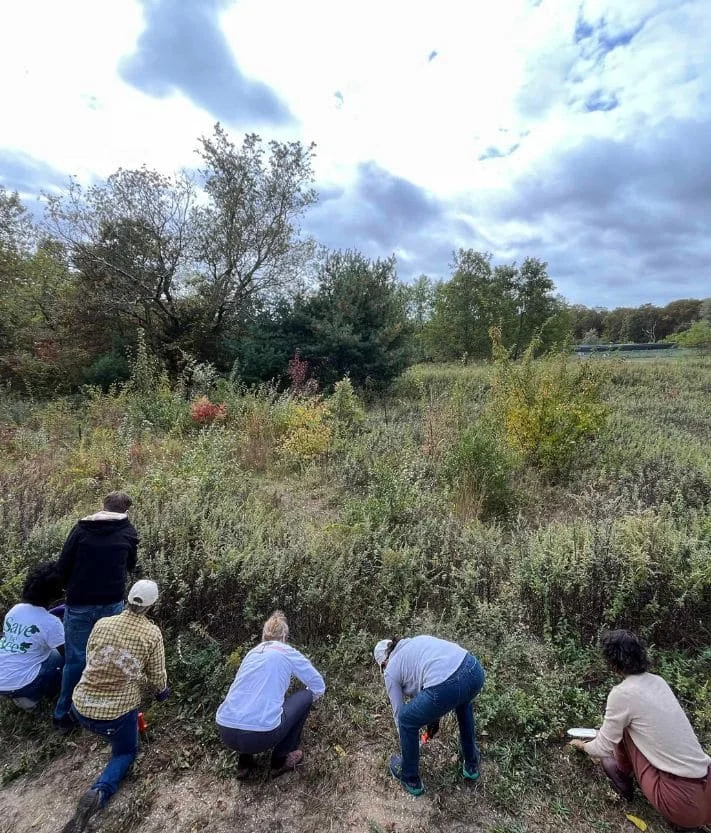 Monthly Volunteer Day with CSJ Sustainability – September