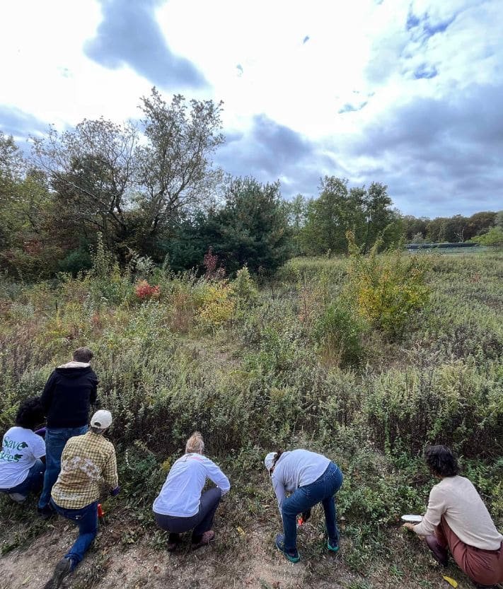 Monthly Volunteer Day with CSJ Sustainability – November