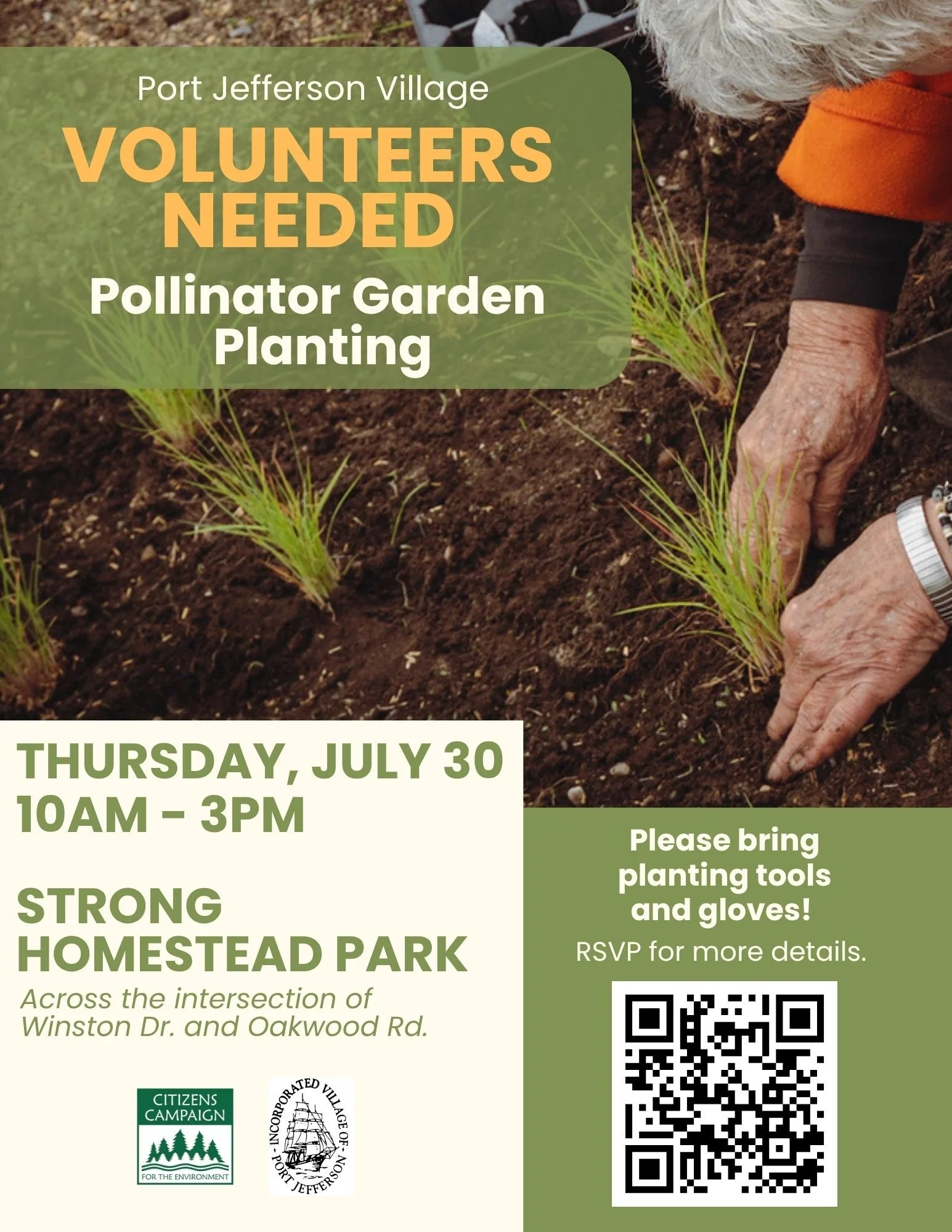 Pollinator Garden Planting