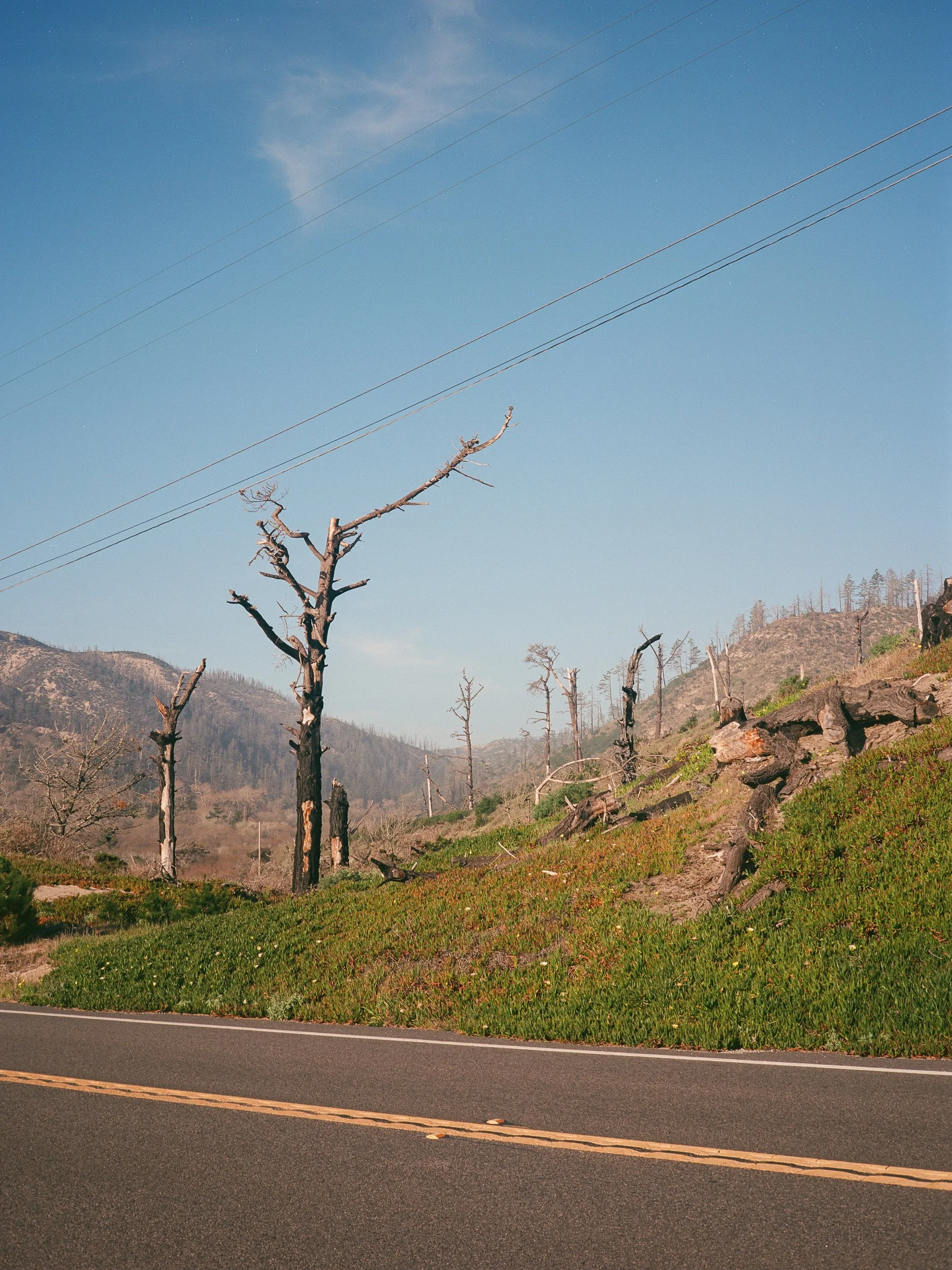 Jesse_McDermott-Hughes1.jpg