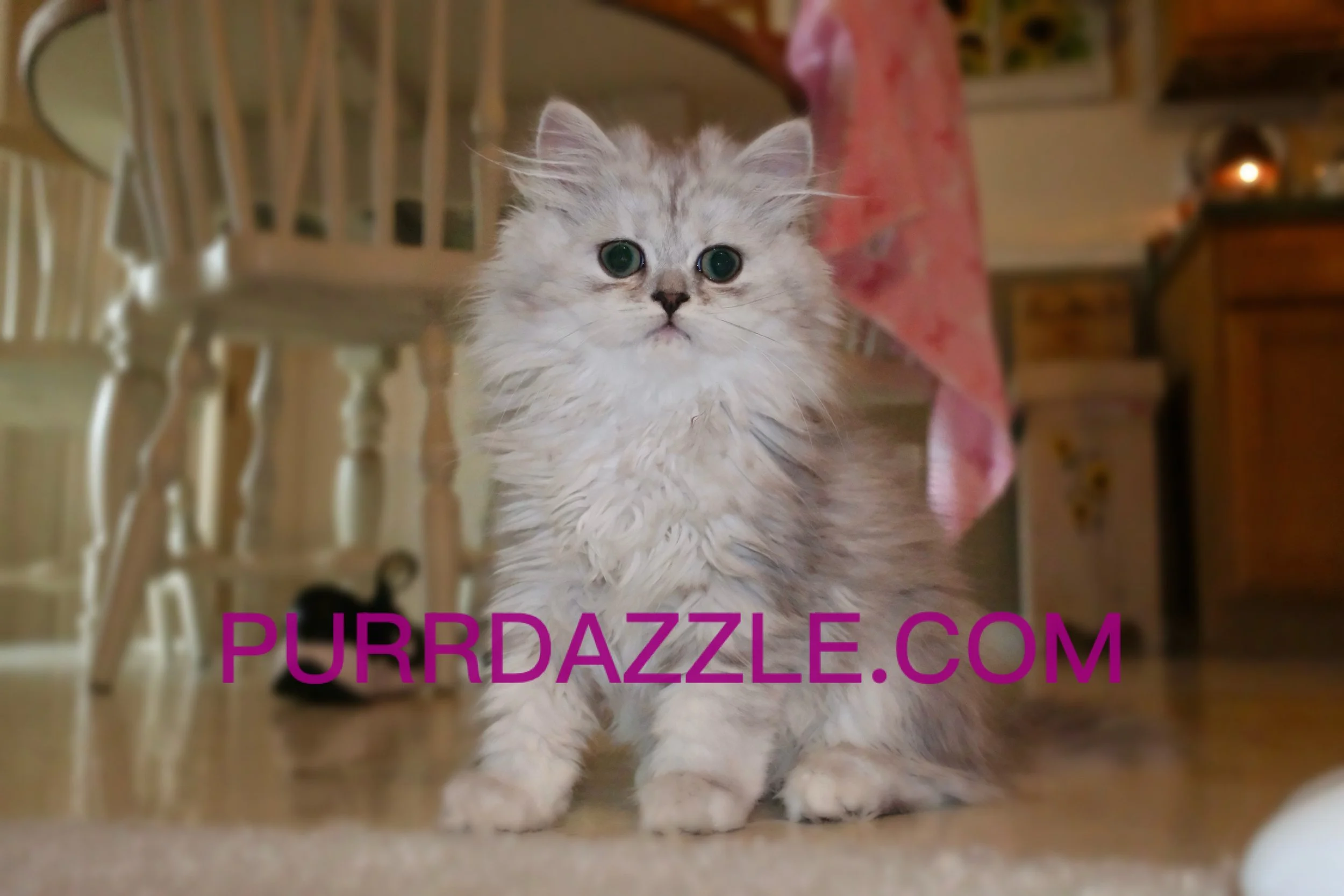 Female Available