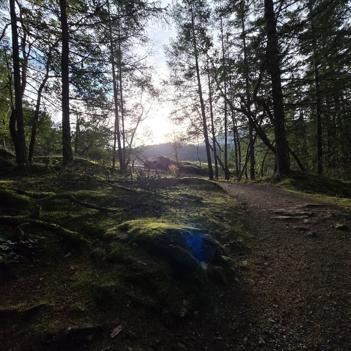 Sometimes we just need to be in nature for a while #vagabond #photography #naturephotography #nature #beautiful #fallvibes