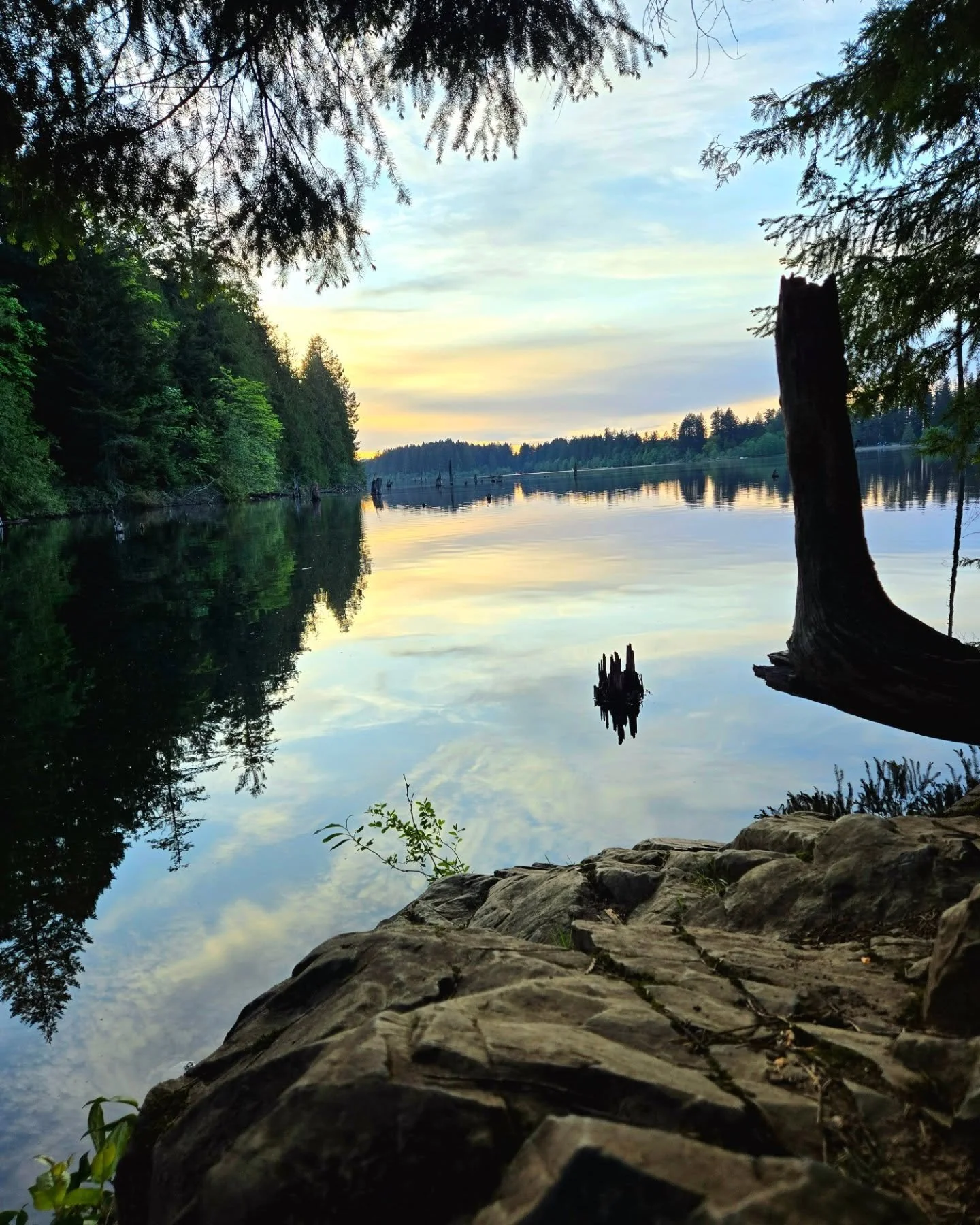 Serenity 
#vagabond #photography #nature #beautiful