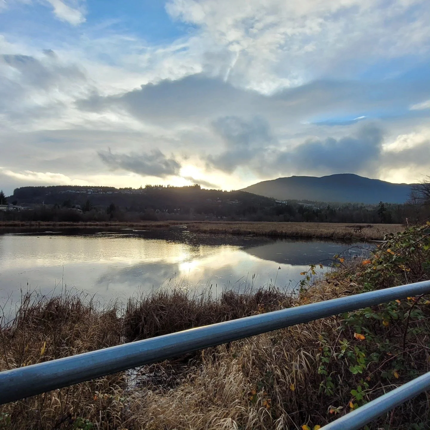 Peaceful

#vagabond #photography #nature #sunset  #beautiful #glassy