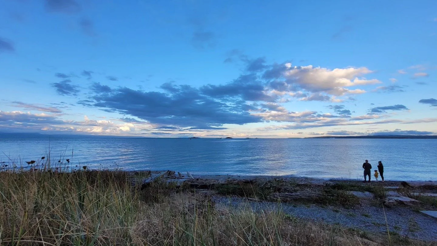 At the beach again #vagabond #photography #beachvibes #beach #ocean #sunset #pretty #nature
