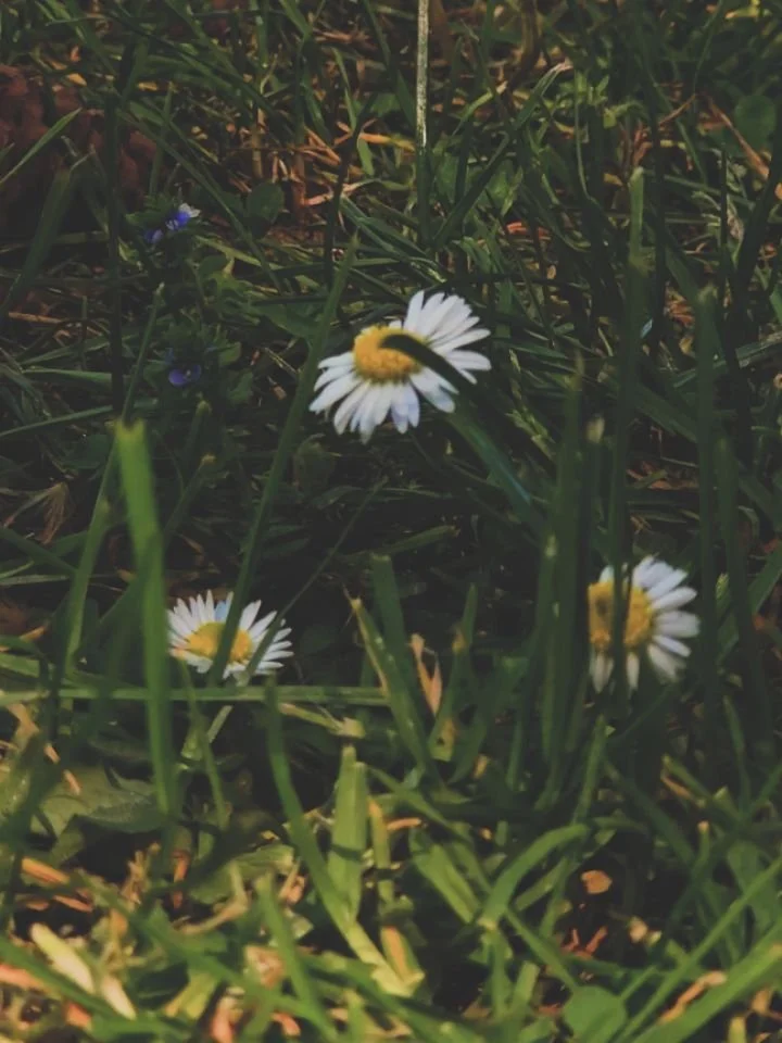 The simple act of noticing, even if its tiny, is far more important than you think! 

And remember! Stop to smell the flowers every once in a while (just make sure they aren't poisonous...).

What was your "Stop and smell the flowers" momen