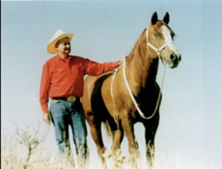 Production Sale — Zollinger Quarter Horses