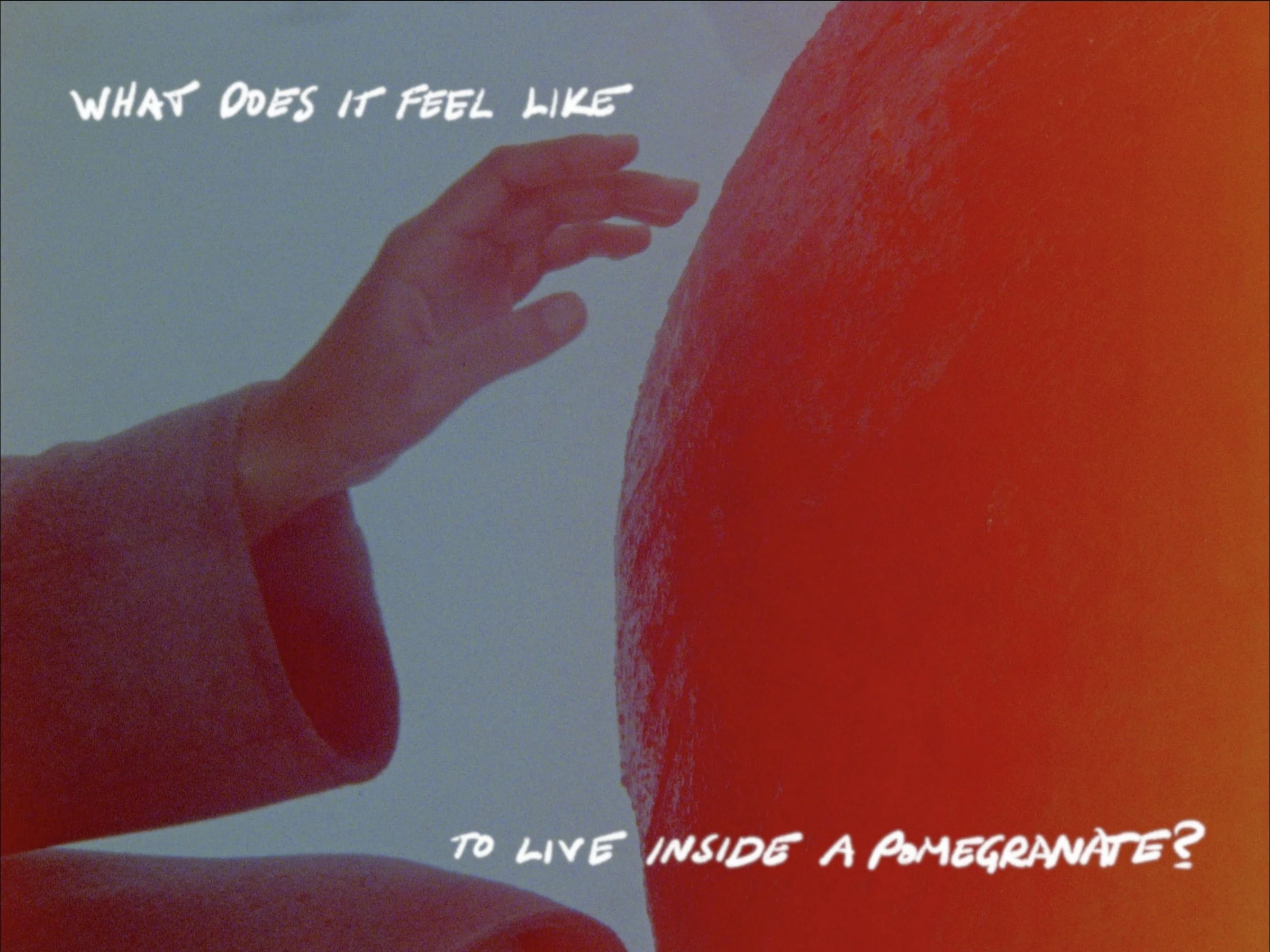 what does it feel like to live inside of a pomegranate? (2025)