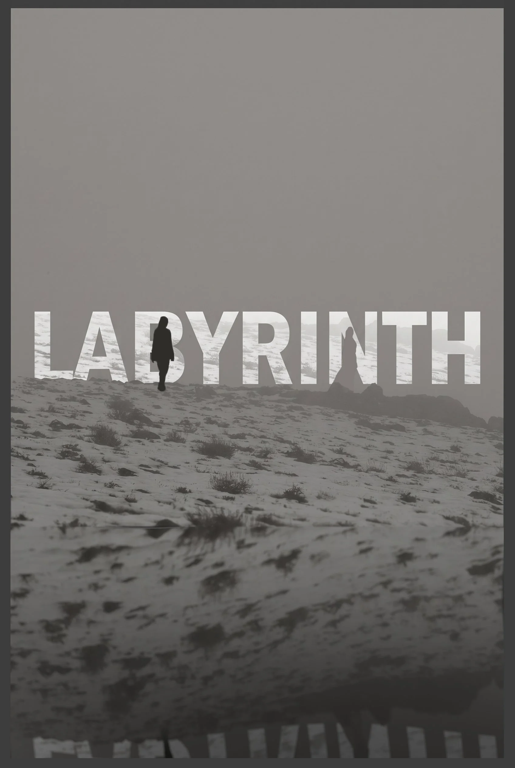 Labyrinth