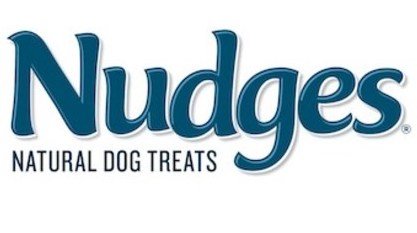 Nudges_Logo.jpg