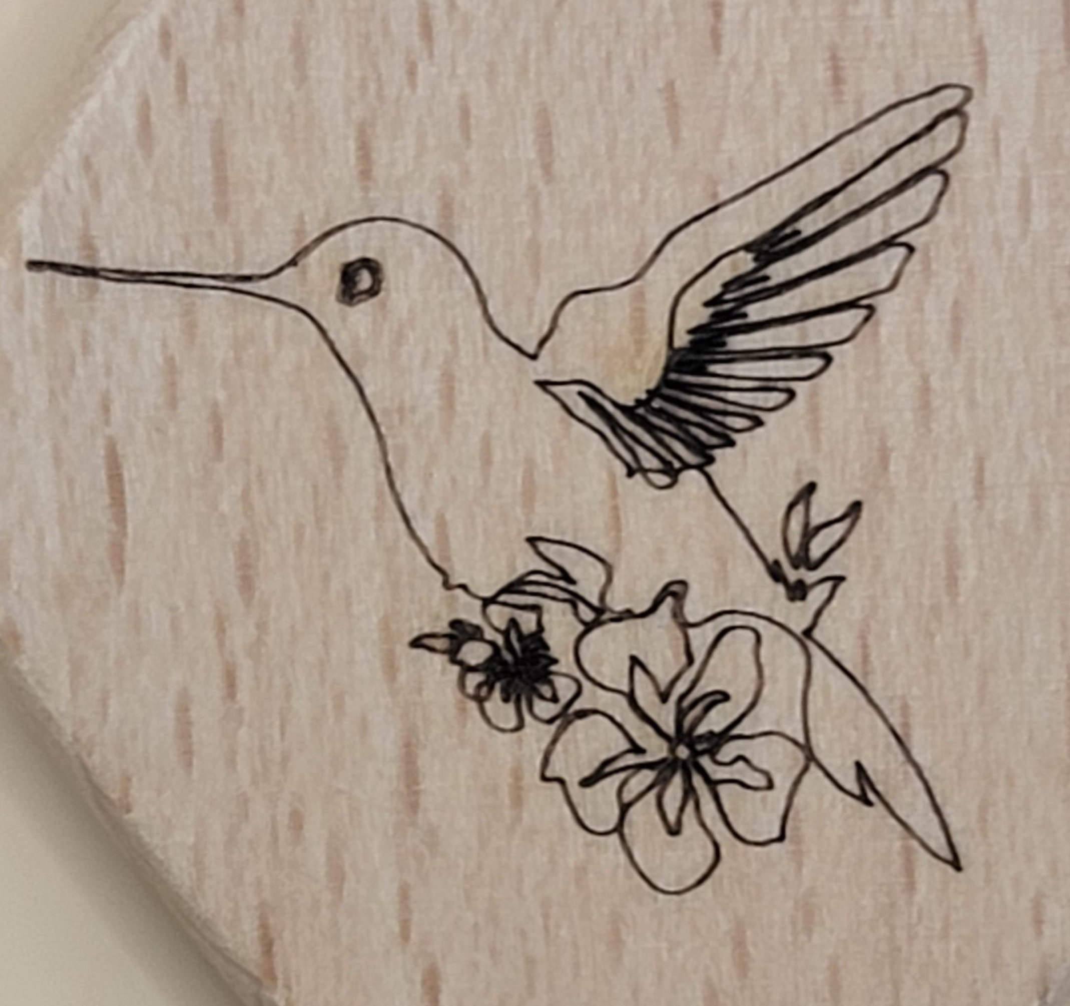 Hummingbird+5.jpg