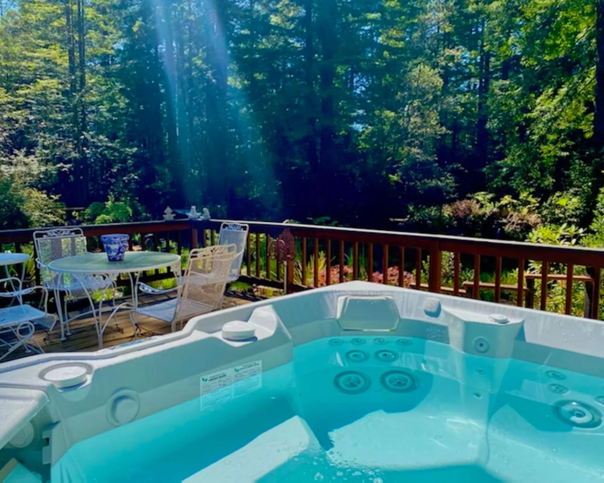 Hot tub on patio in front of seating area overlooking the garden. Light rays are shining in.