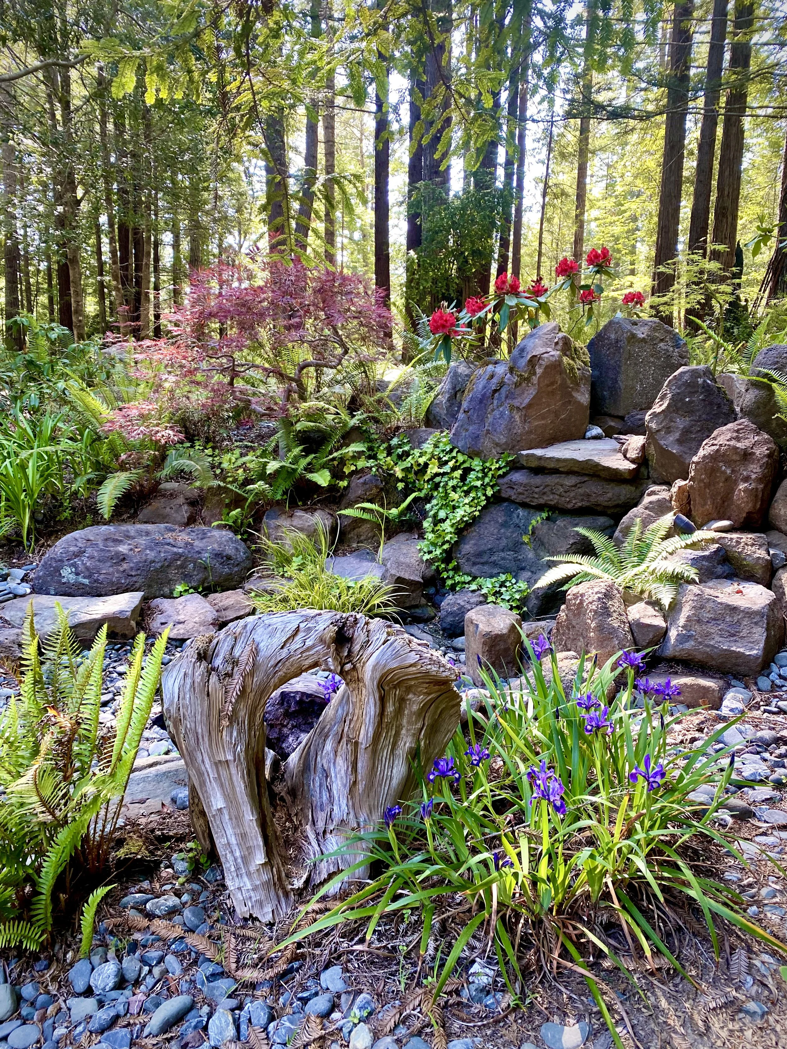 A lush garden scene featuring rocks, purple flowers, ferns, and a weathered tree stump with a forest in the background.