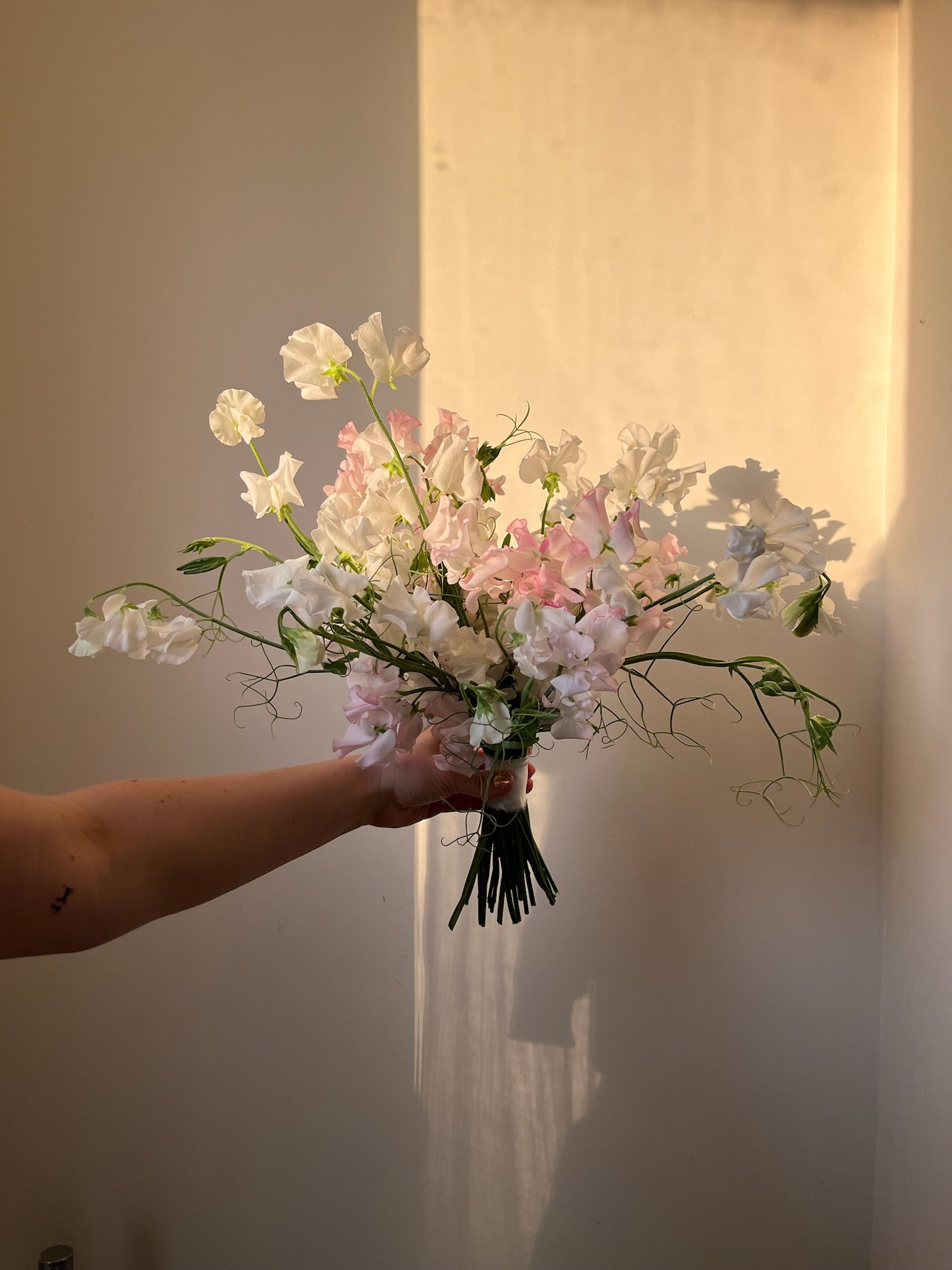 A hand holding a bouquet of white and pink sweet pea flowers against a plain wall with a shadow cast by the bouquet.