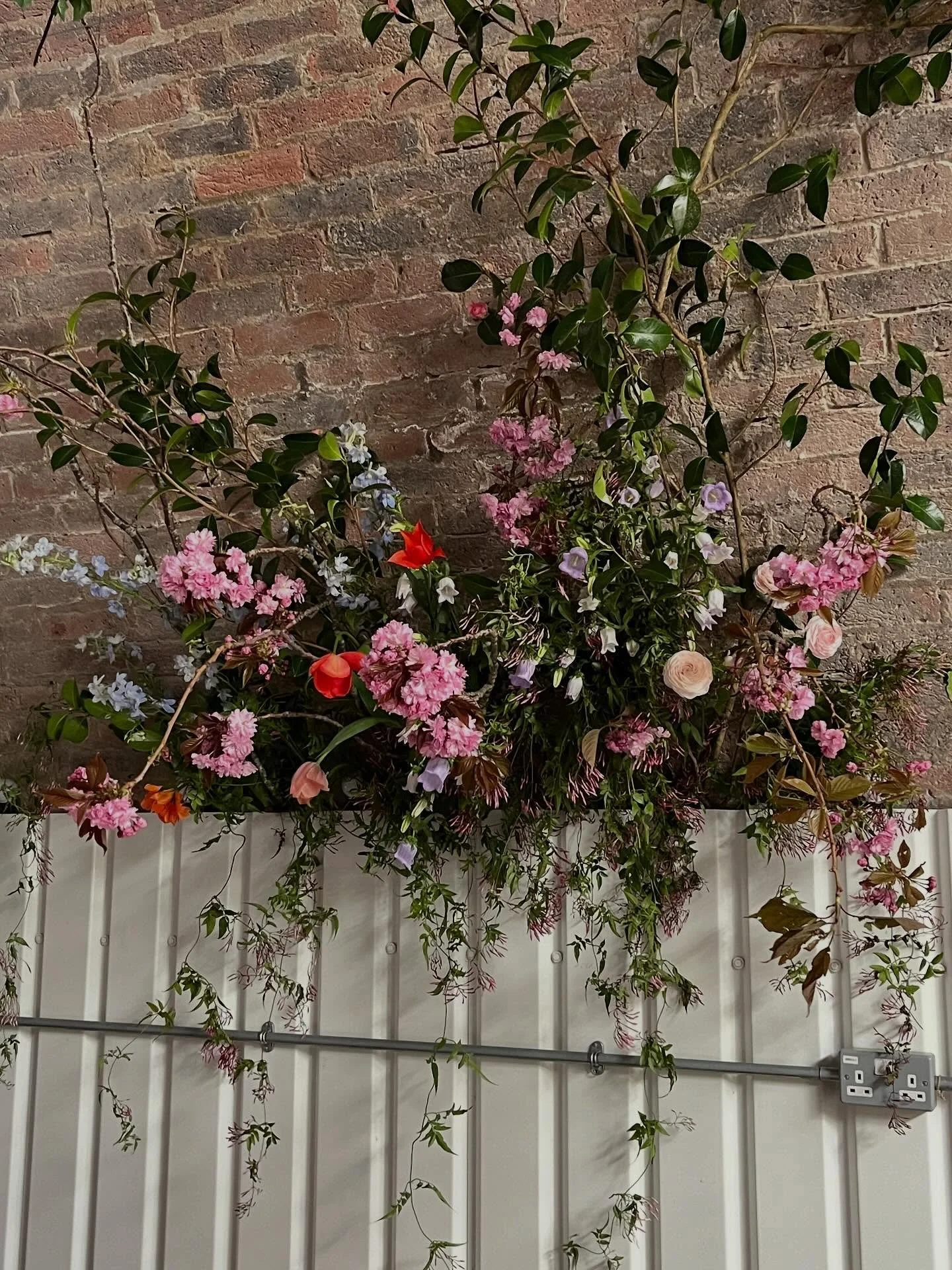 AMP Studios, April 2025